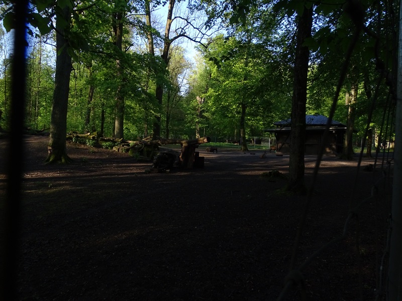 Alpine chamois enclosure