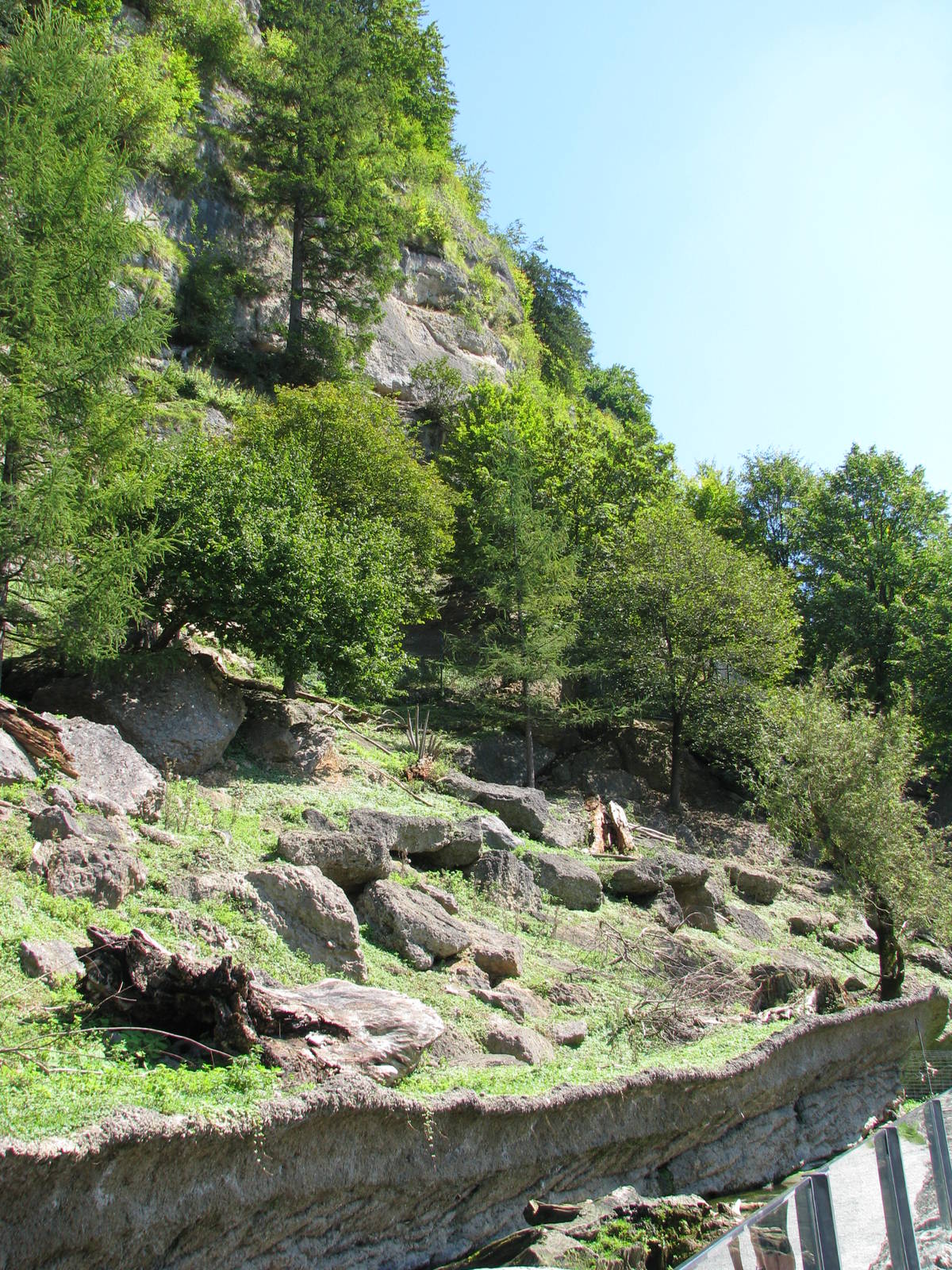 Alpine chamois exhibit - August 2011