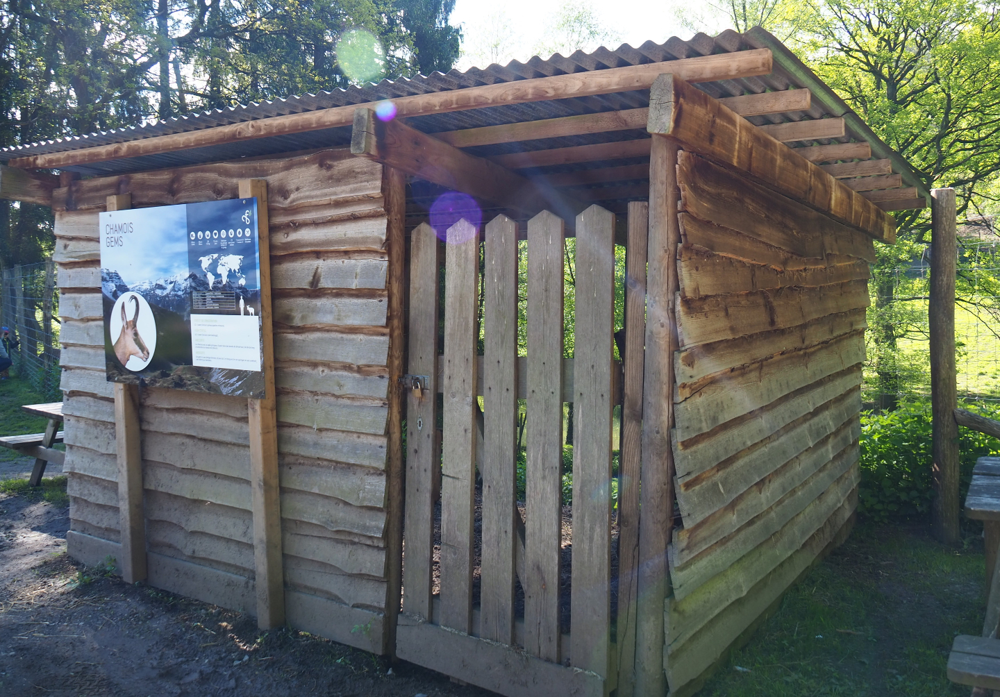 Alpine chamois shelter, 2021-05-29