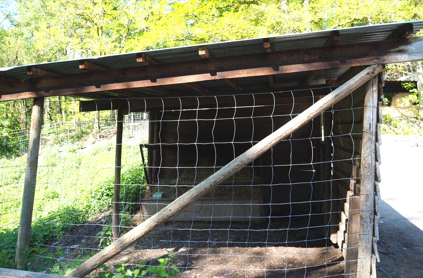 Alpine chamois shelter, 2021-05-29