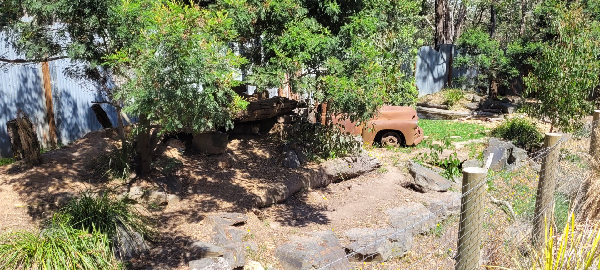 Alpine Dingo Enclosure