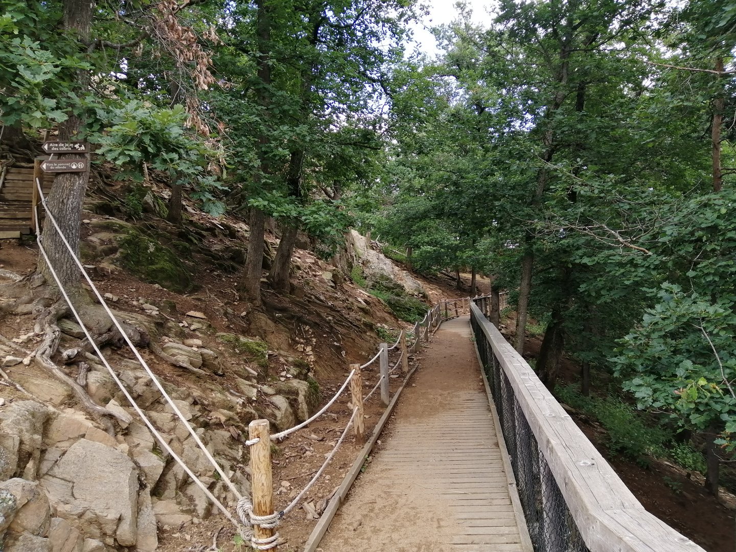Alpine ibex & alpine chamois walkthrough exhibit