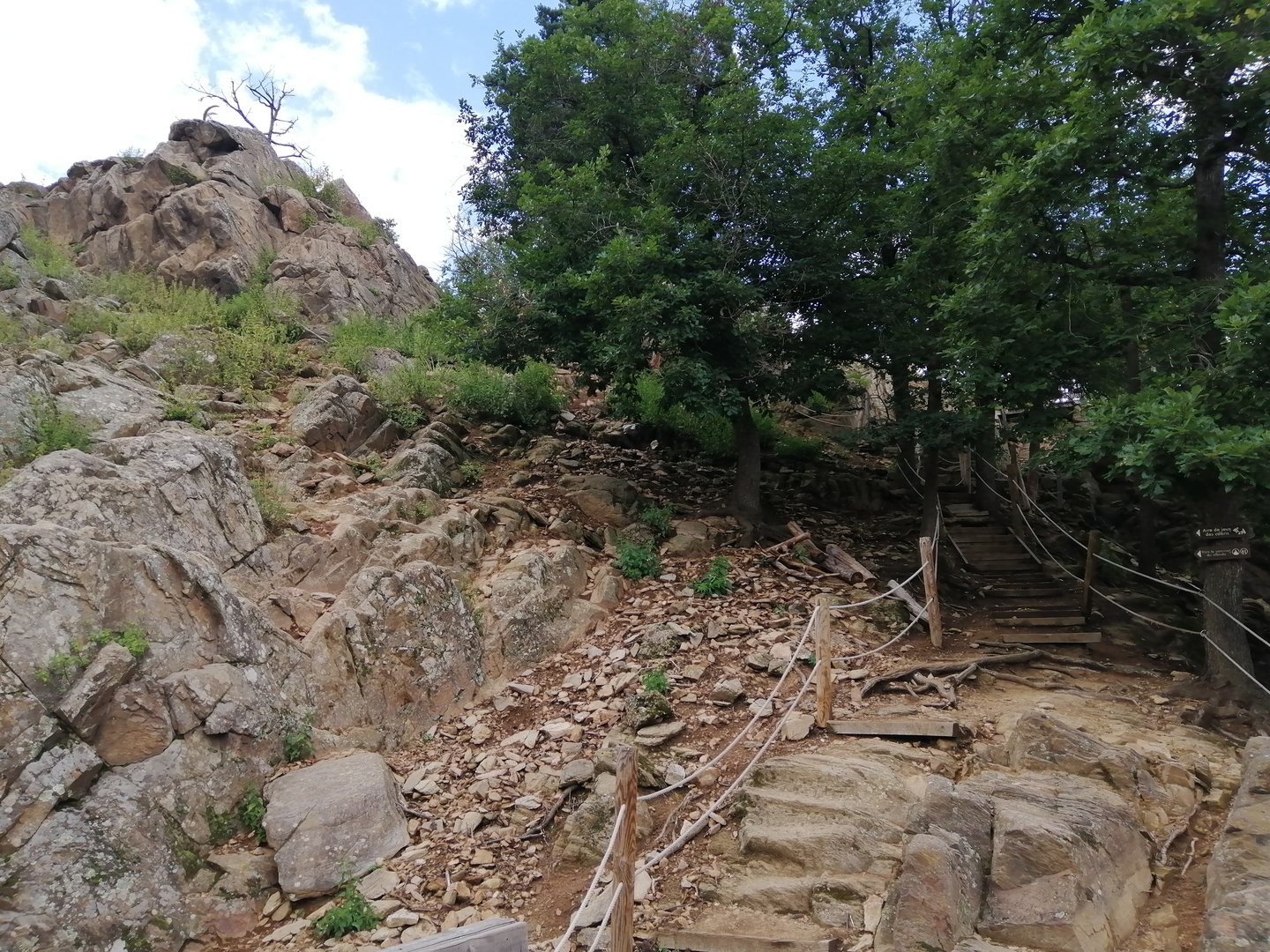 Alpine ibex & alpine chamois walkthrough exhibit