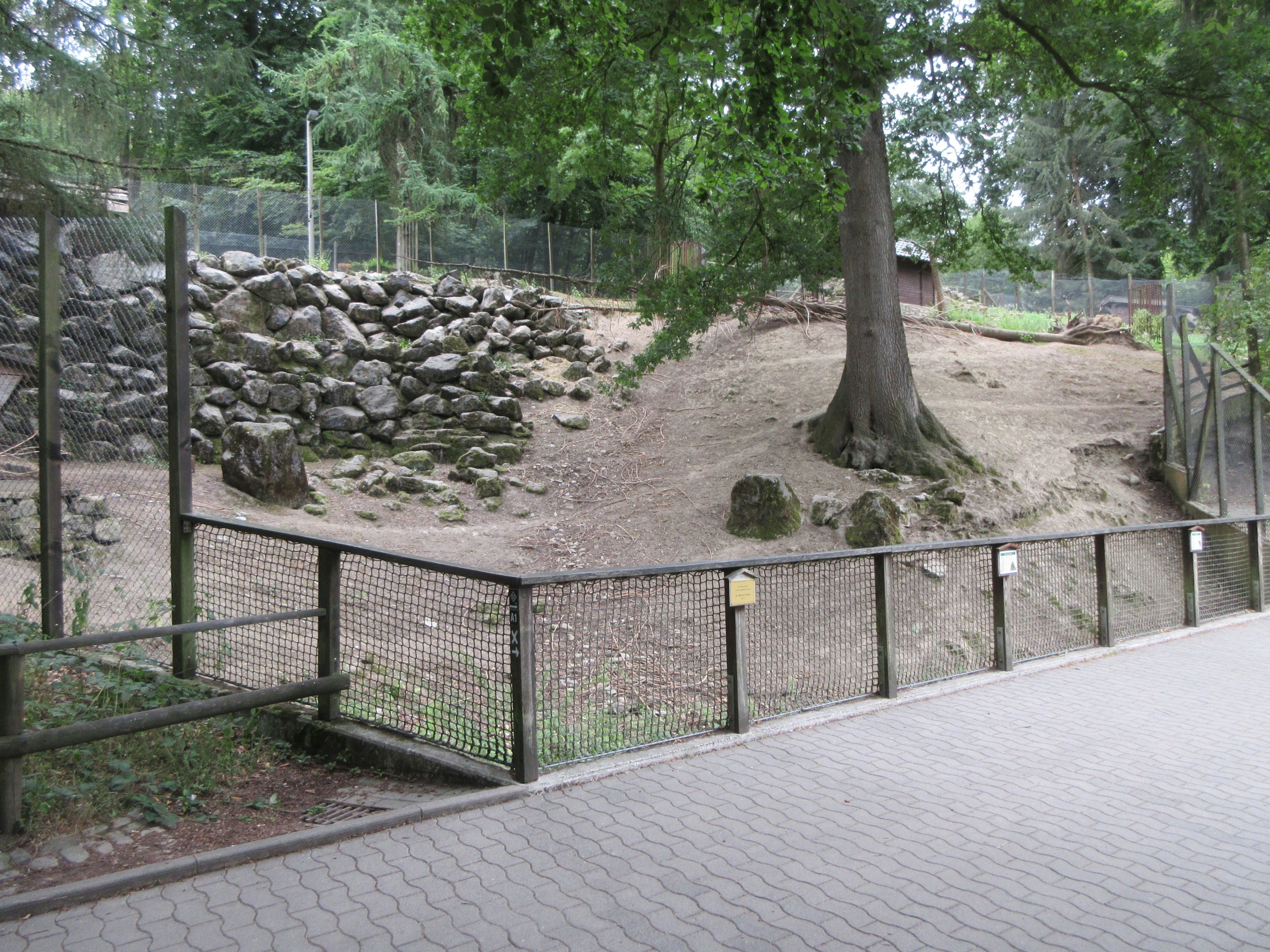 Alpine Ibex/Alpine Marmot Exhibit