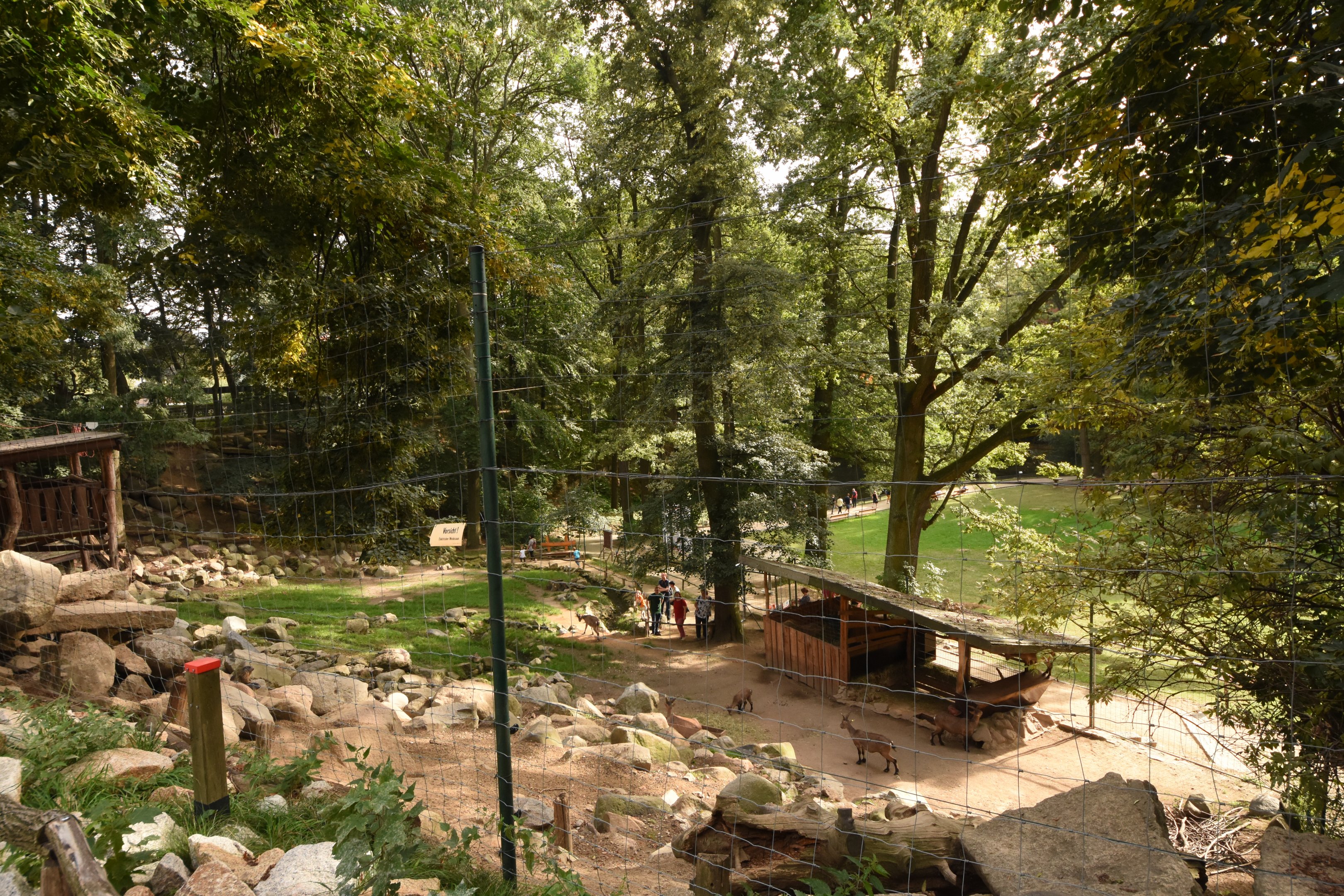 Alpine ibex and marmot enclosure