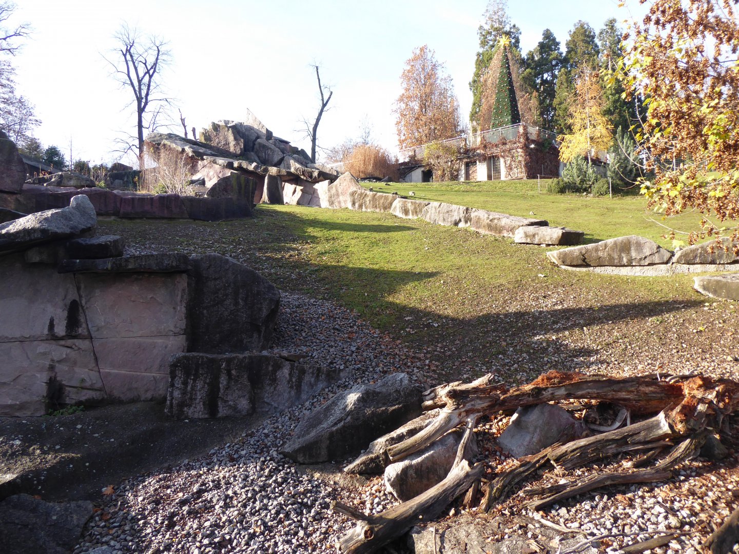 Alpine ibex enclosure 011218