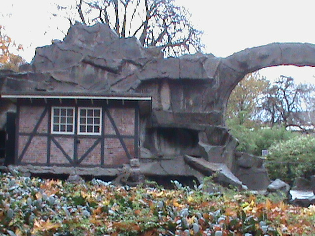 Alpine ibex enclosure 061110