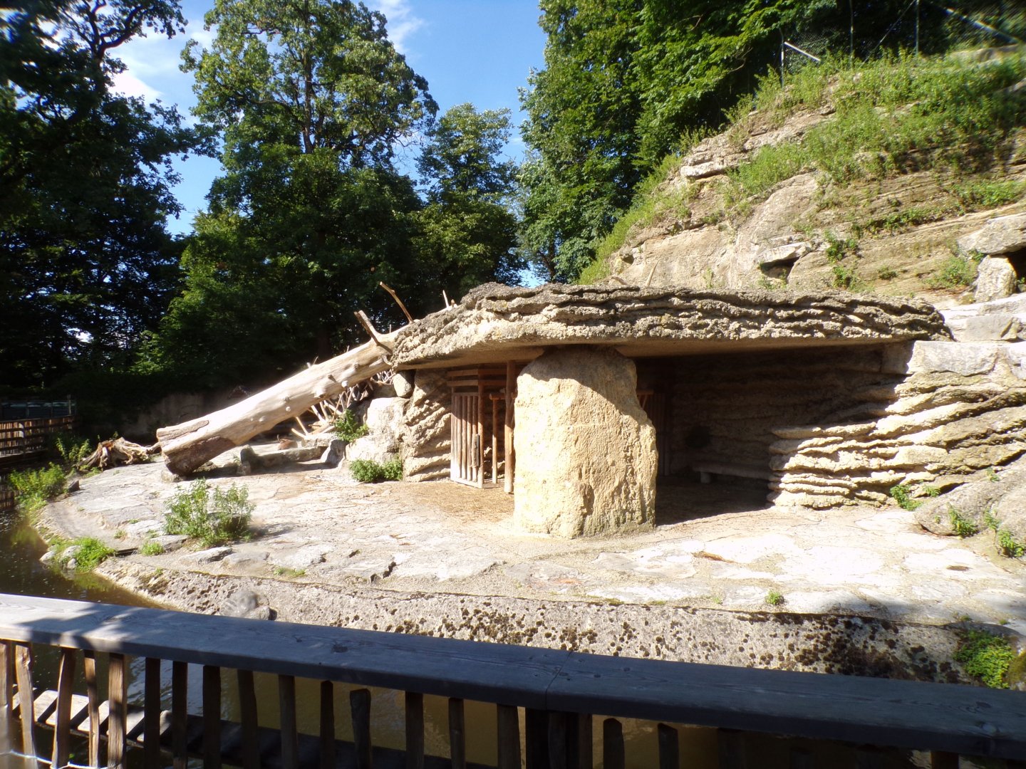 Alpine ibex enclosure 13.7.25