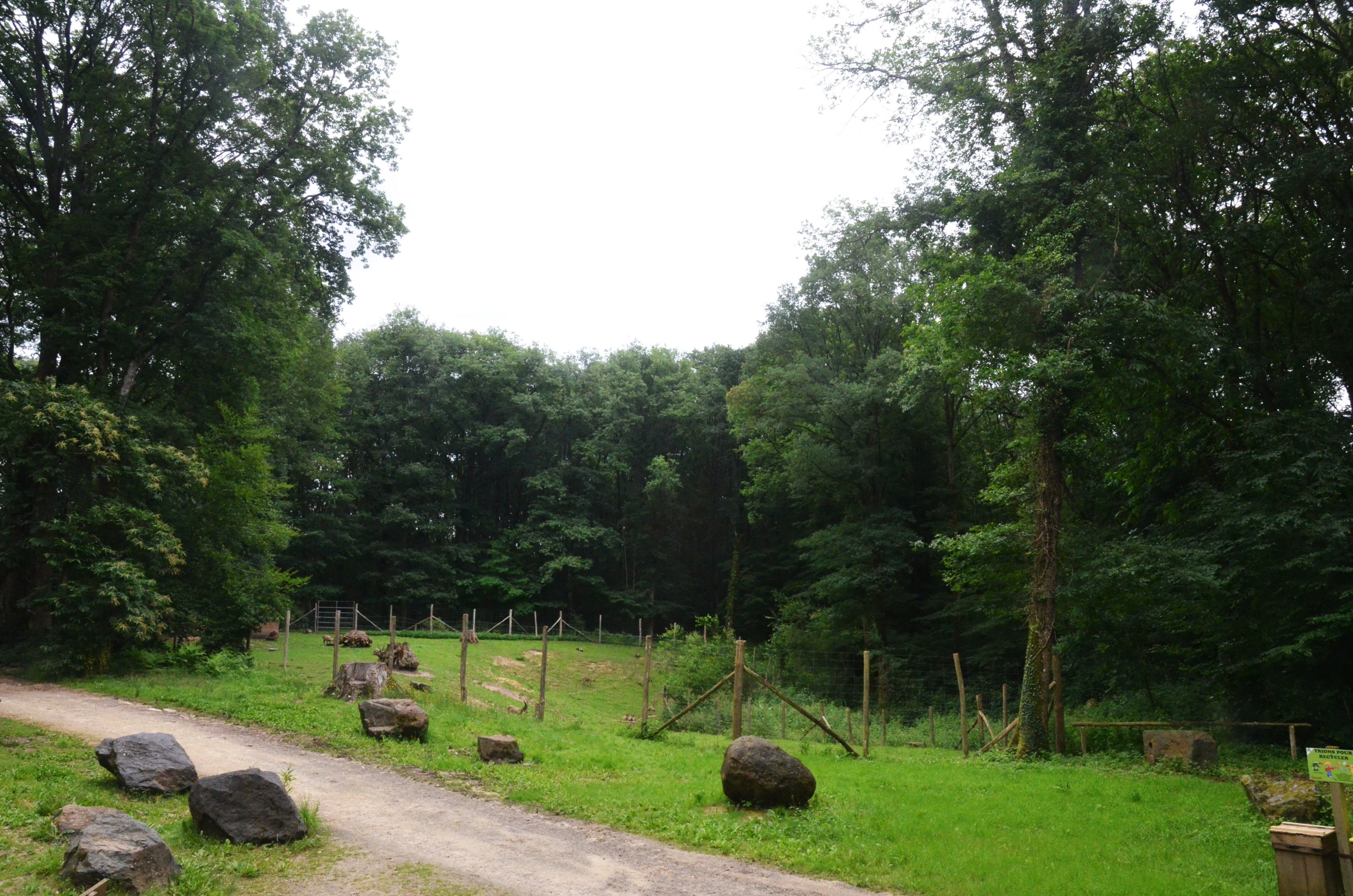 Alpine Ibex Enclosure at Pescheray, 13/06/18