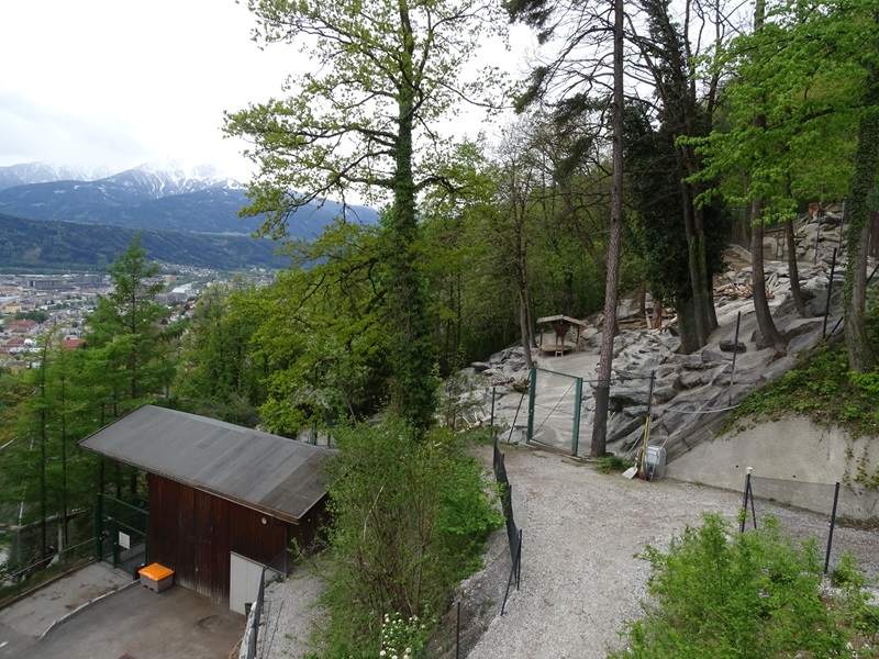 Alpine ibex enclosure from above
