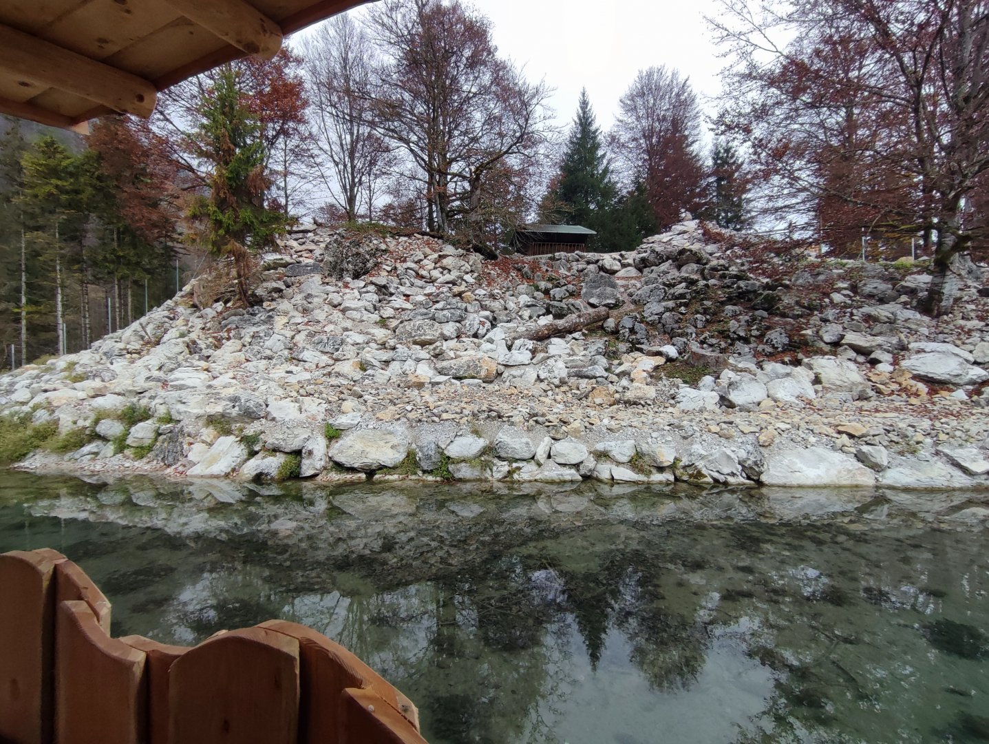 Alpine ibex enclosure - Wildpark Grünau/Cumberland