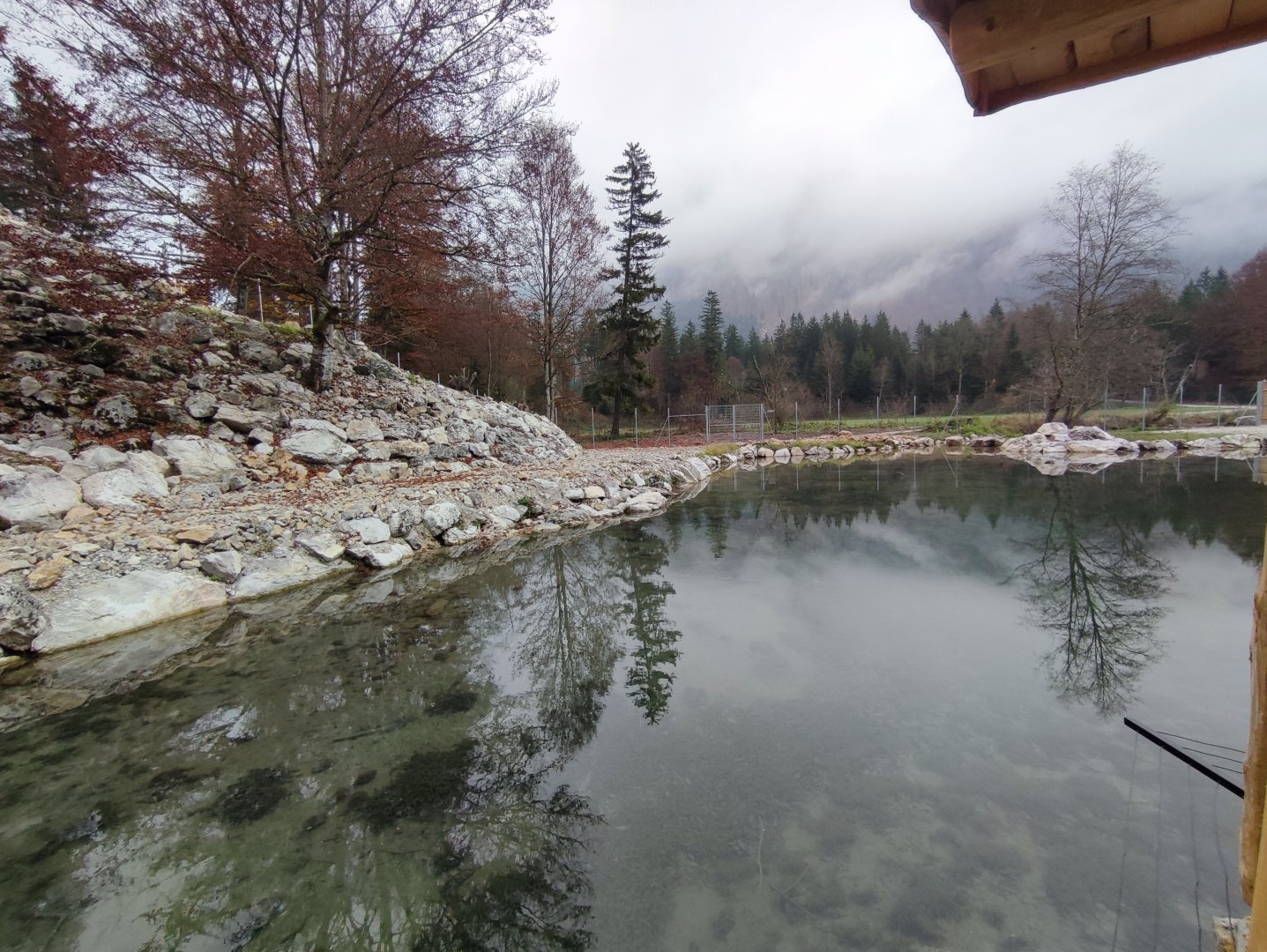 Alpine ibex enclosure - Wildpark Grünau/Cumberland