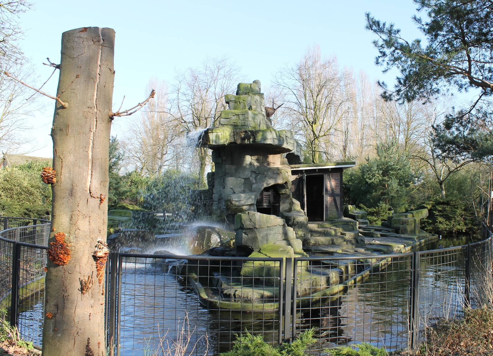 Alpine ibex enclosure