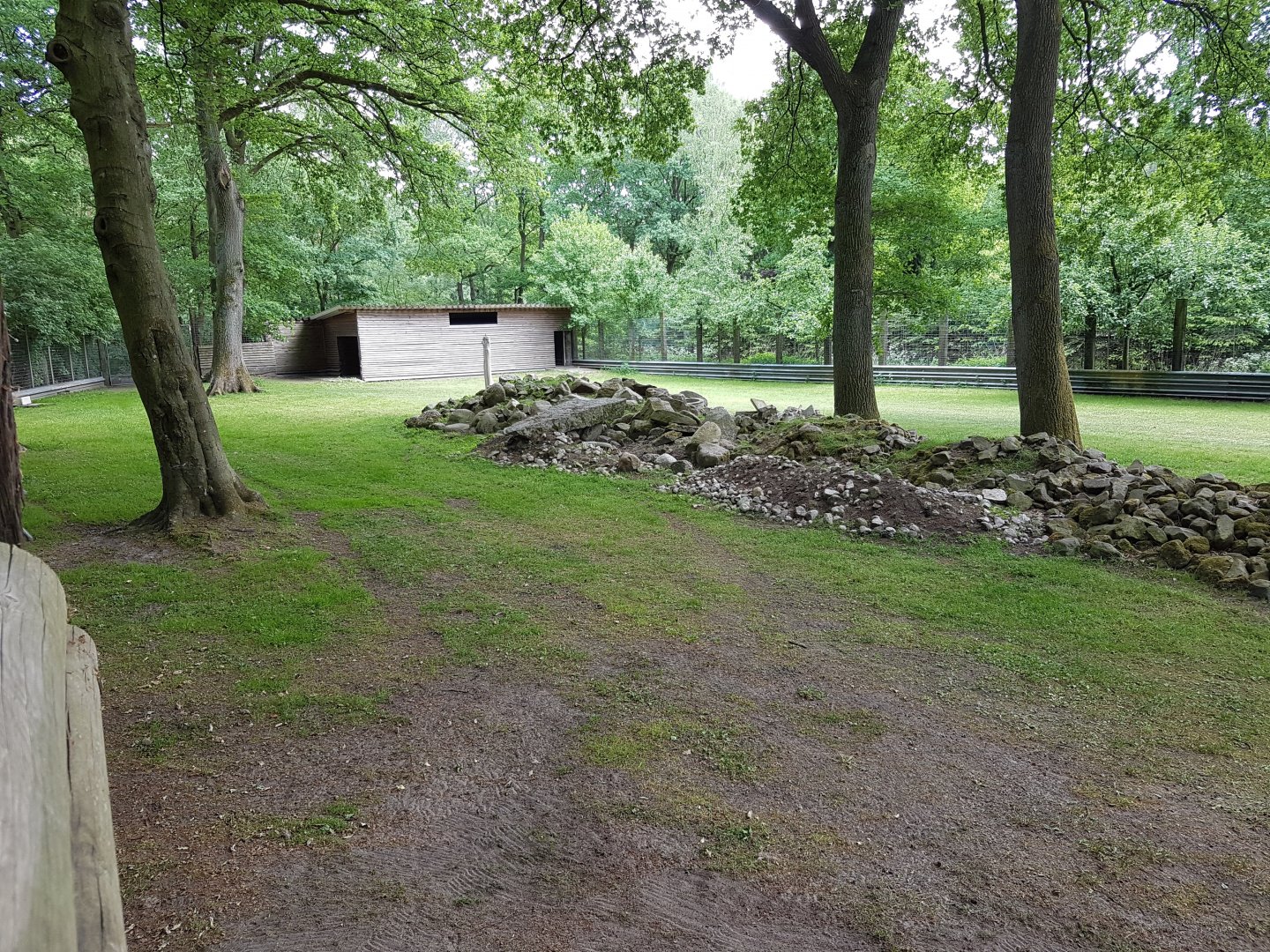 Alpine ibex-enclosure