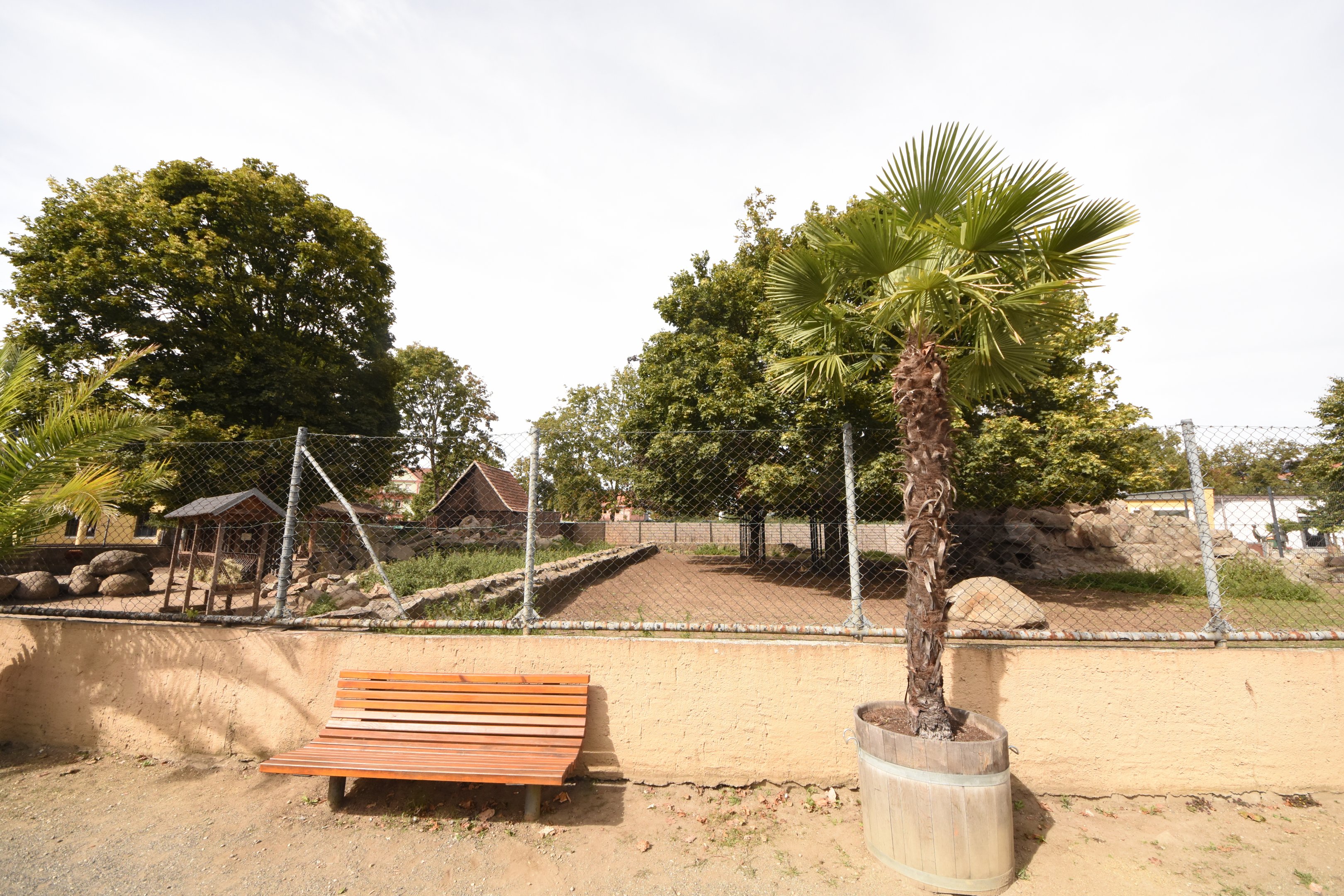 Alpine ibex enclosure