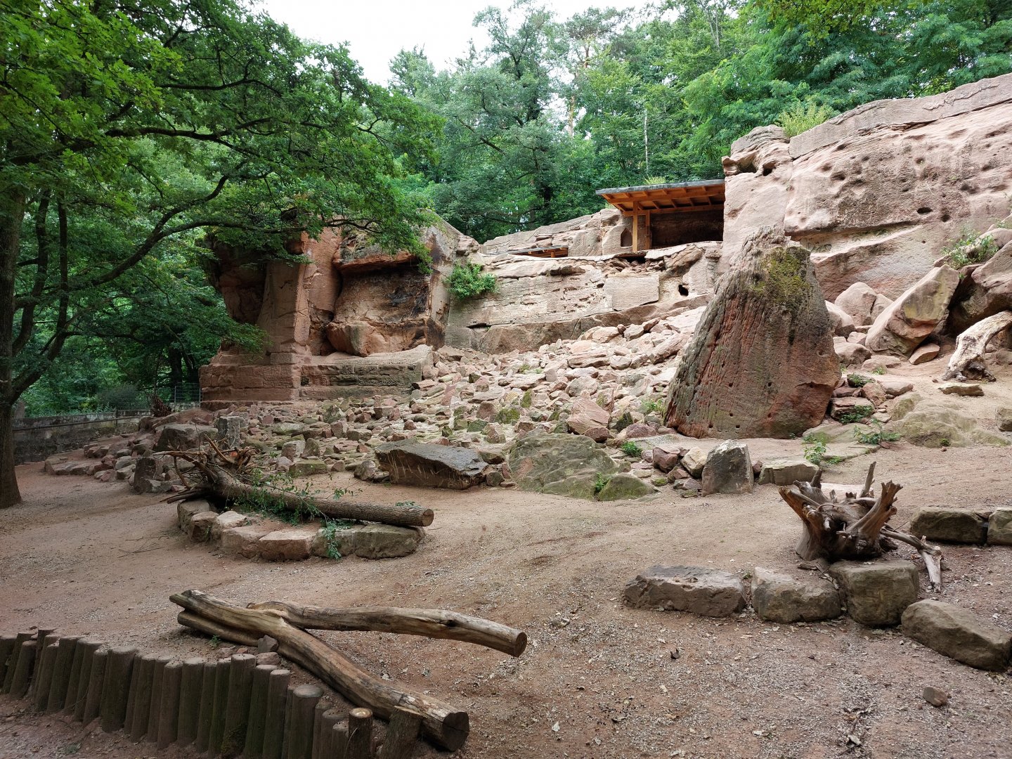 Alpine ibex enclosure