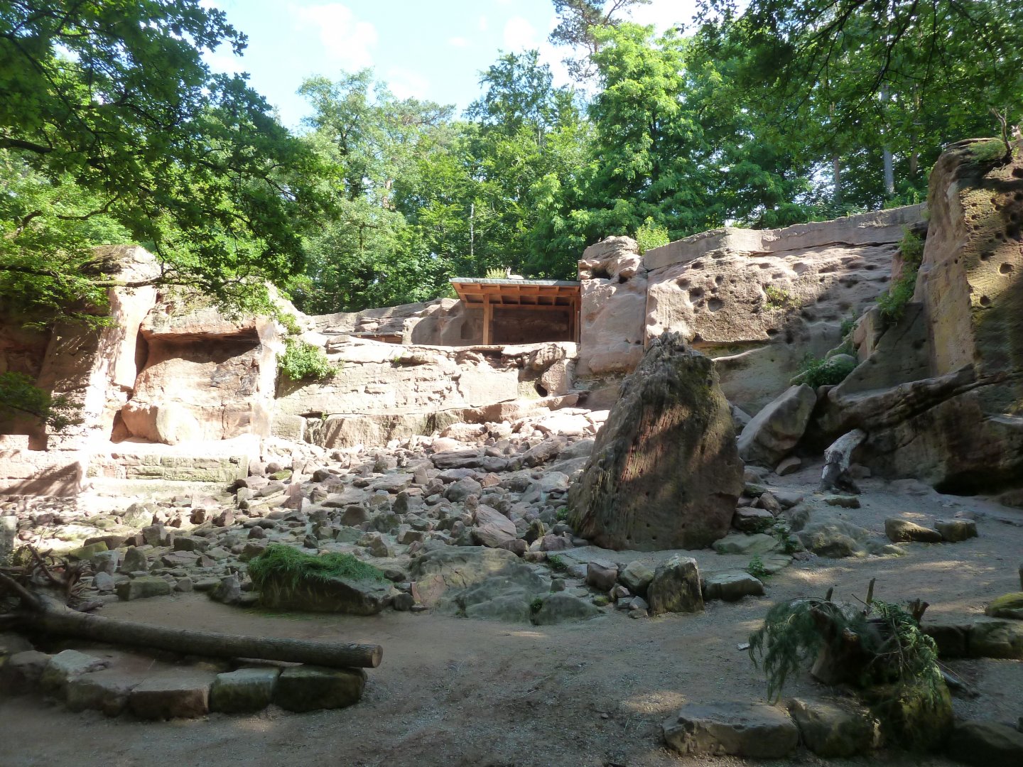 Alpine ibex enclosure