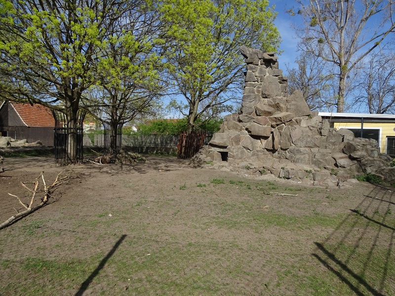 Alpine ibex enclosure