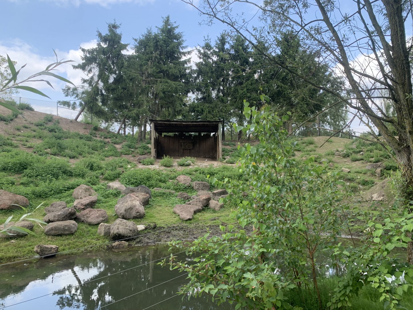 Alpine Ibex enclosure