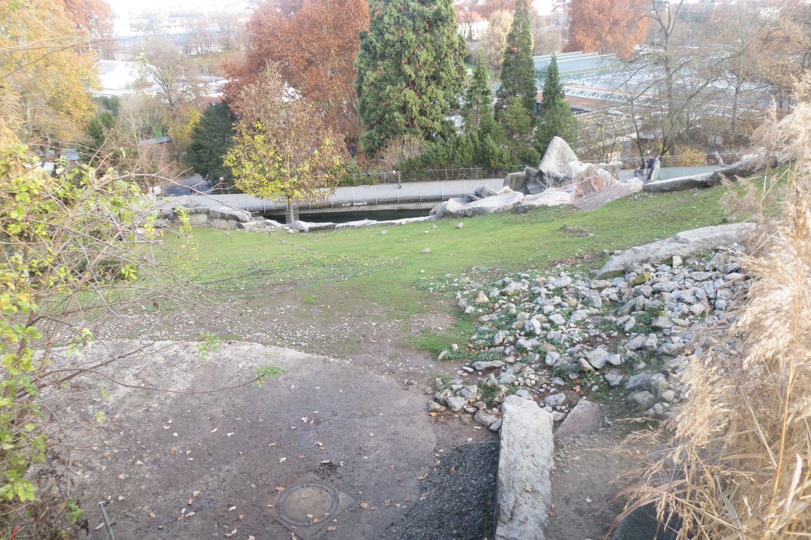 Alpine ibex exhibit 011218