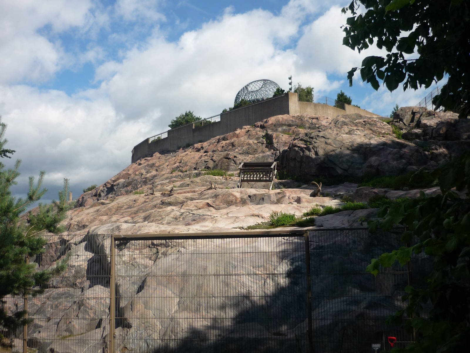 Alpine Ibex Exhibit 2