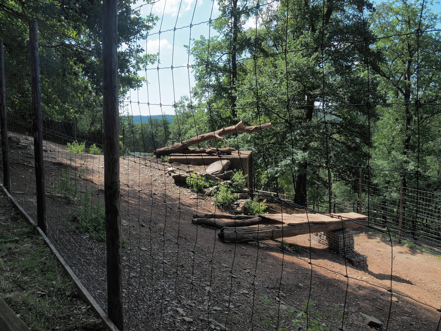 Alpine ibex exhibit, 2023-06-24