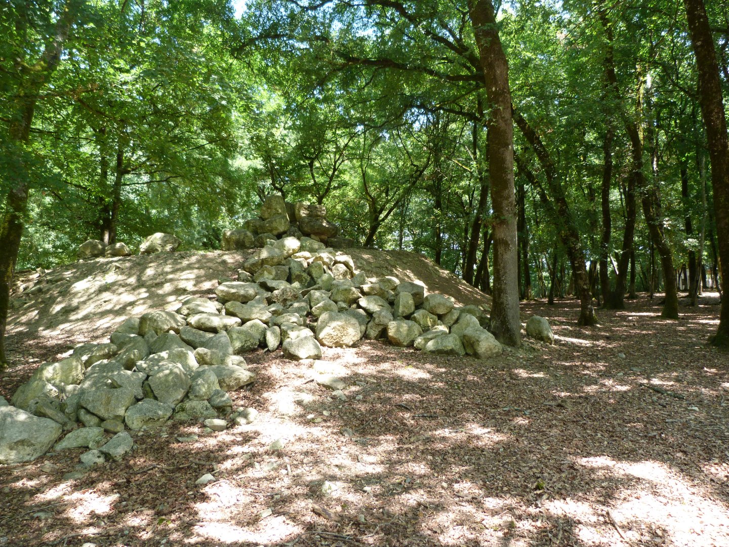 Alpine ibex exhibit -Zoodyssée (2025)