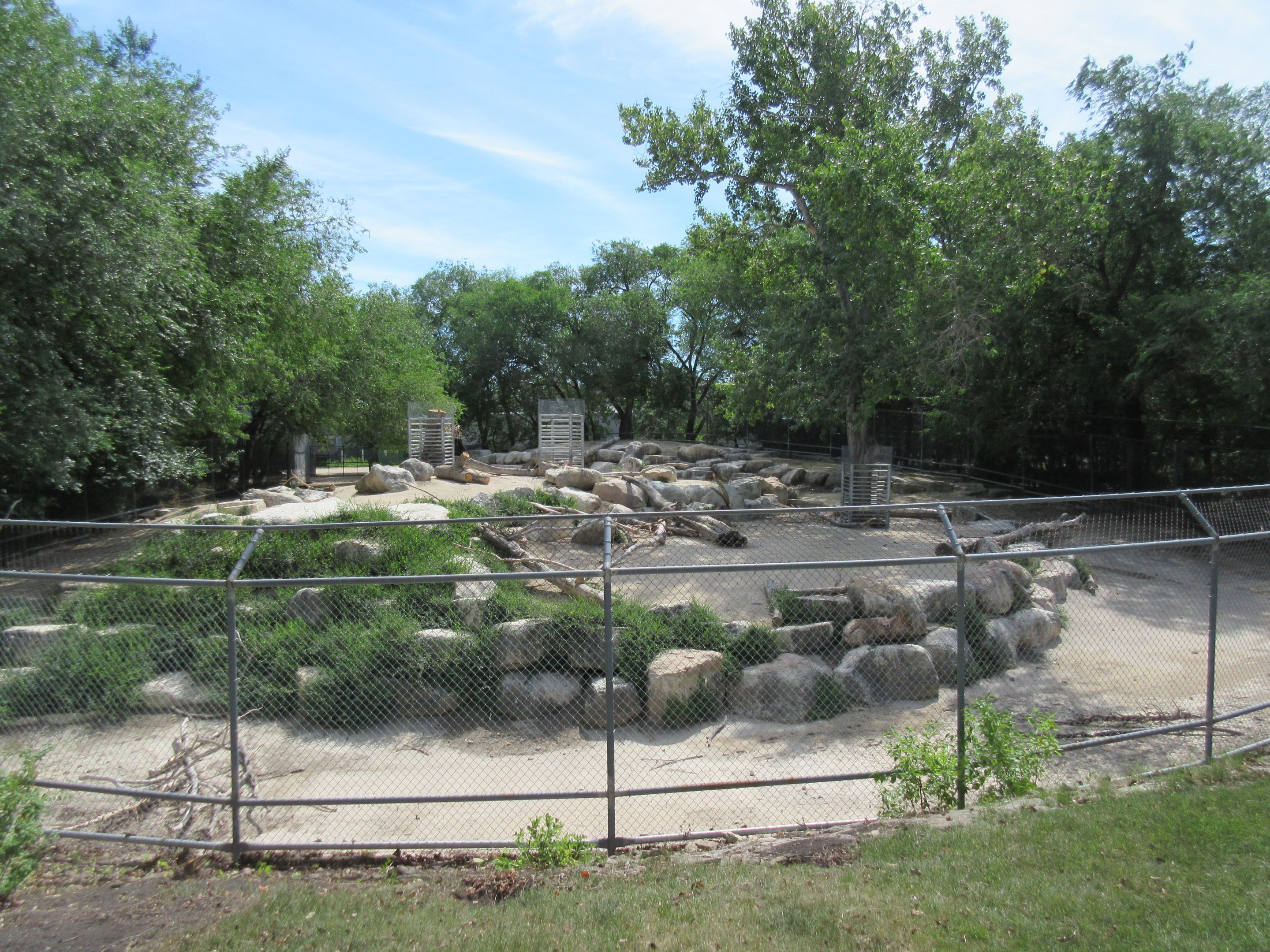 Alpine Ibex Exhibit