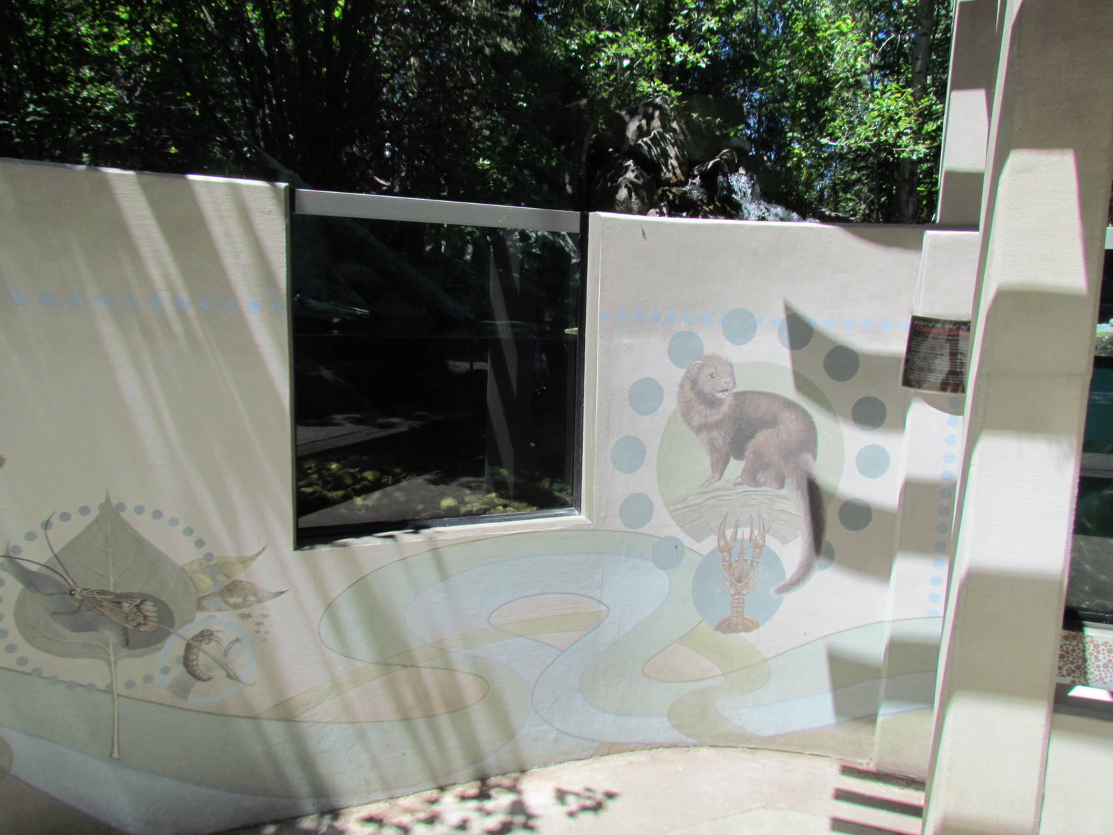 Alpine Lake Viewing Area