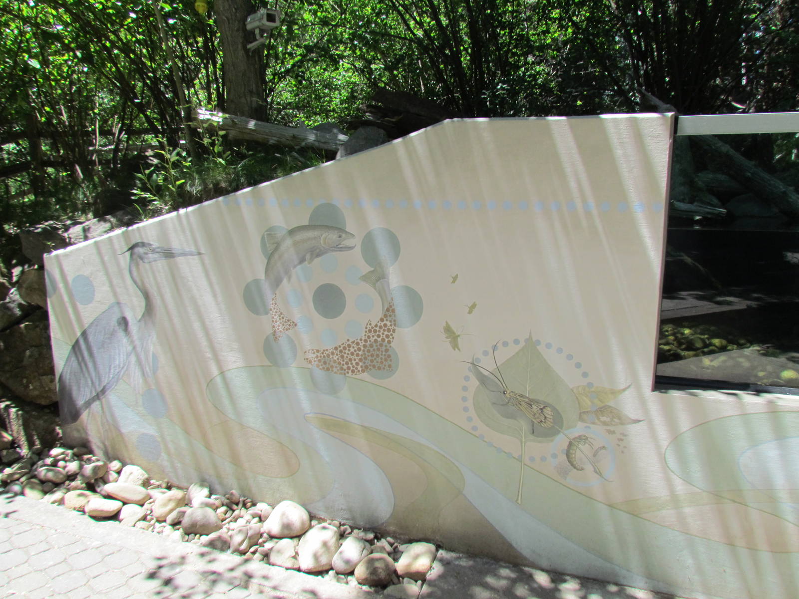 Alpine Lake Viewing Area