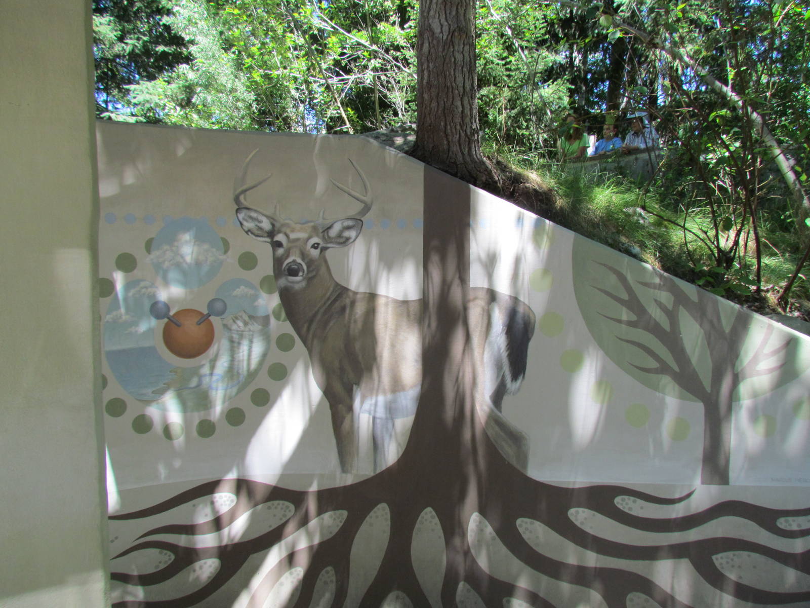 Alpine Lake Viewing Area