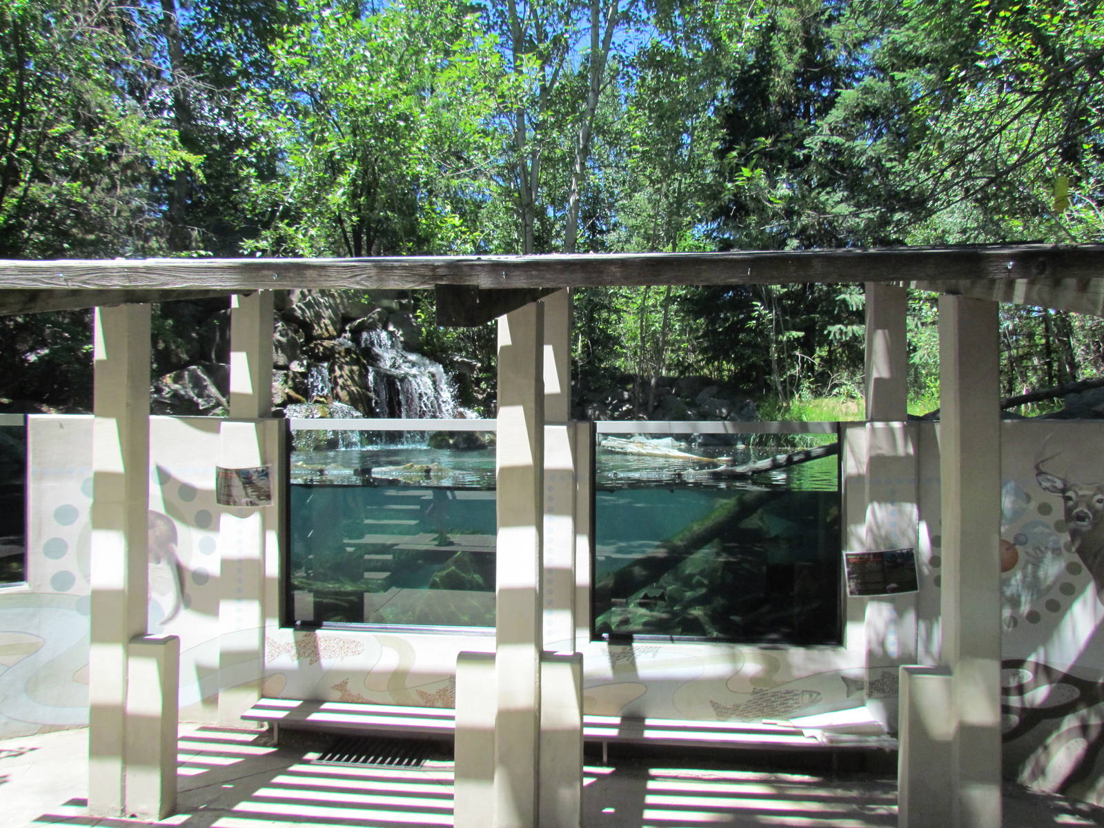 Alpine Lake Viewing Area