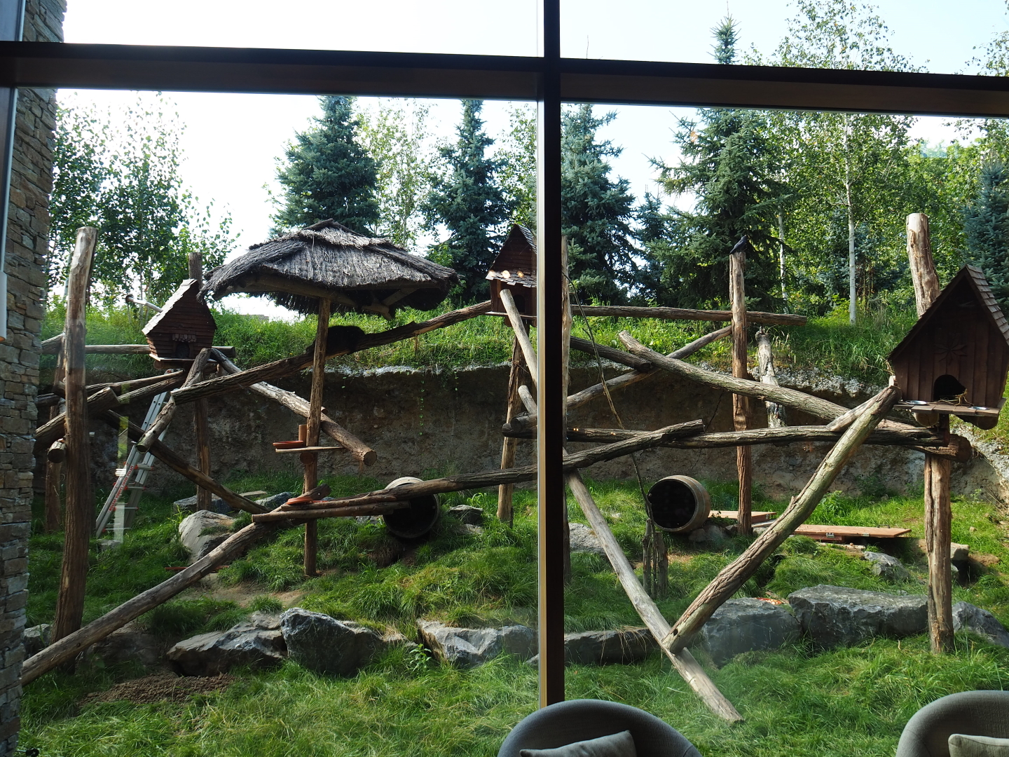 Alpine marmot and North American porcupine exhibit next to the lobby of The Paddling Bear hotel, 2021-09-02