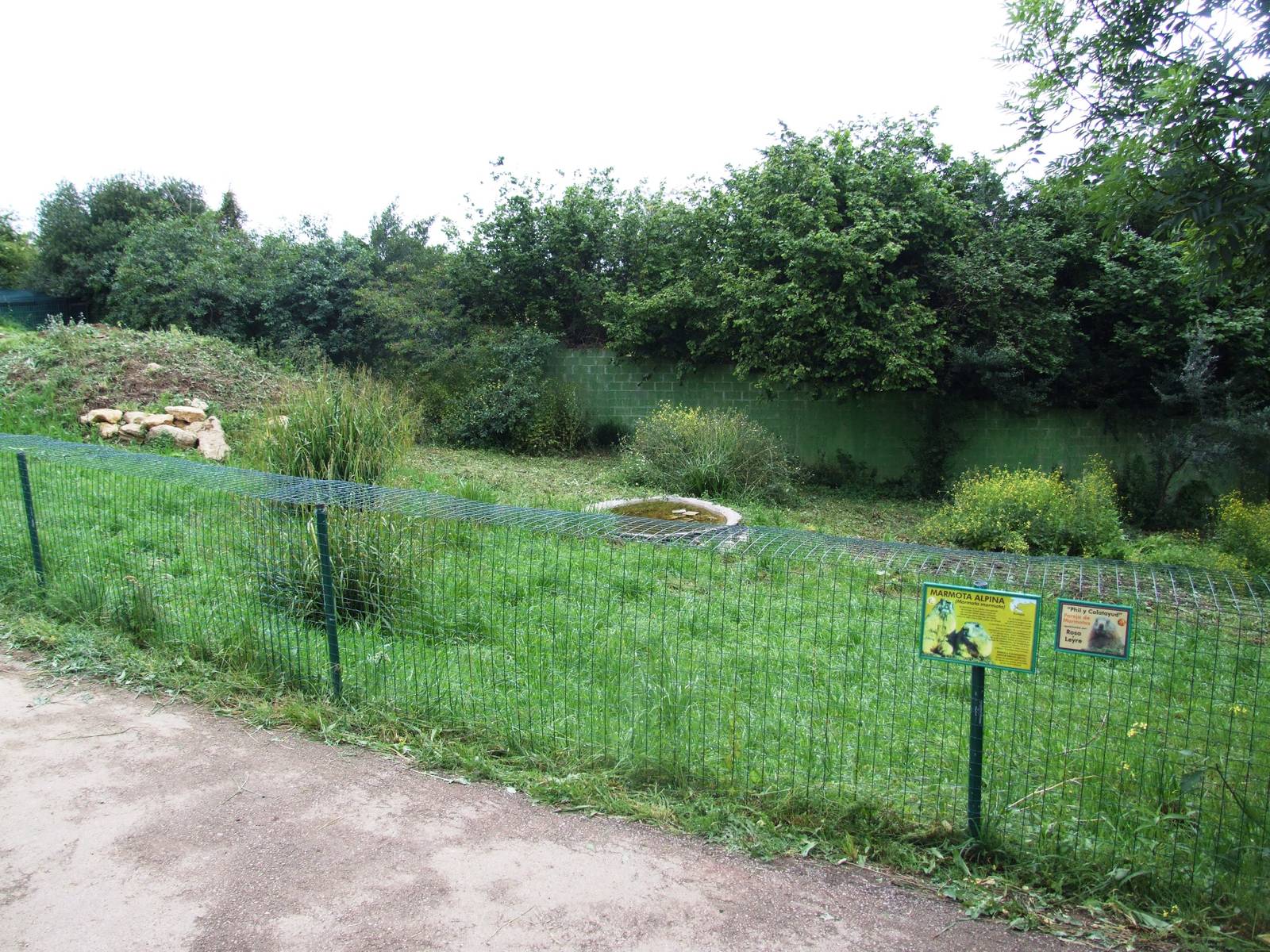Alpine Marmot Enclosure at Santillana del Mar, 13/06/15