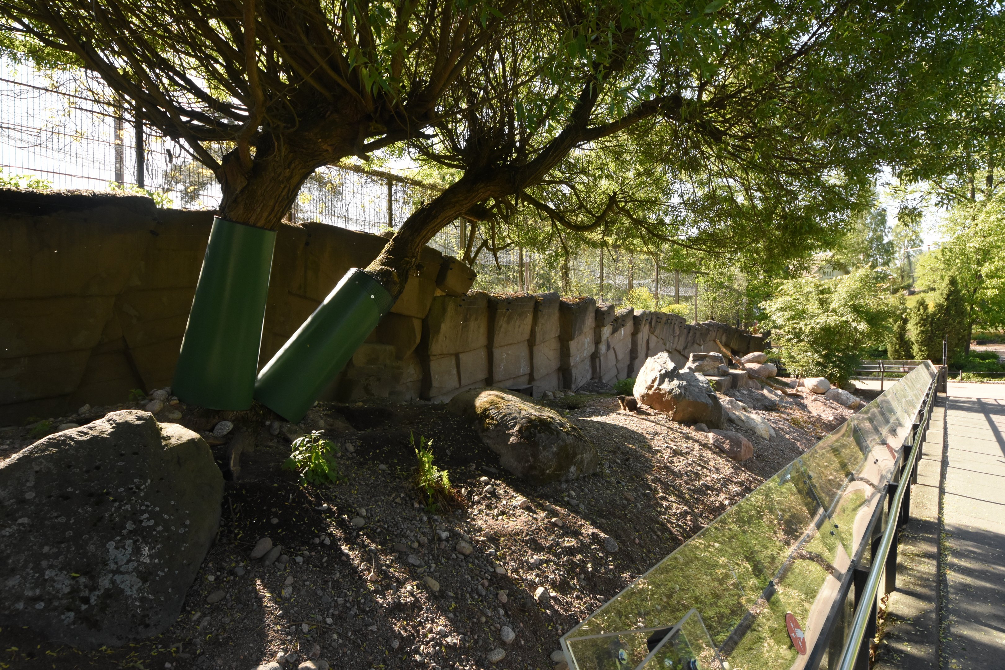 Alpine marmot enclosure