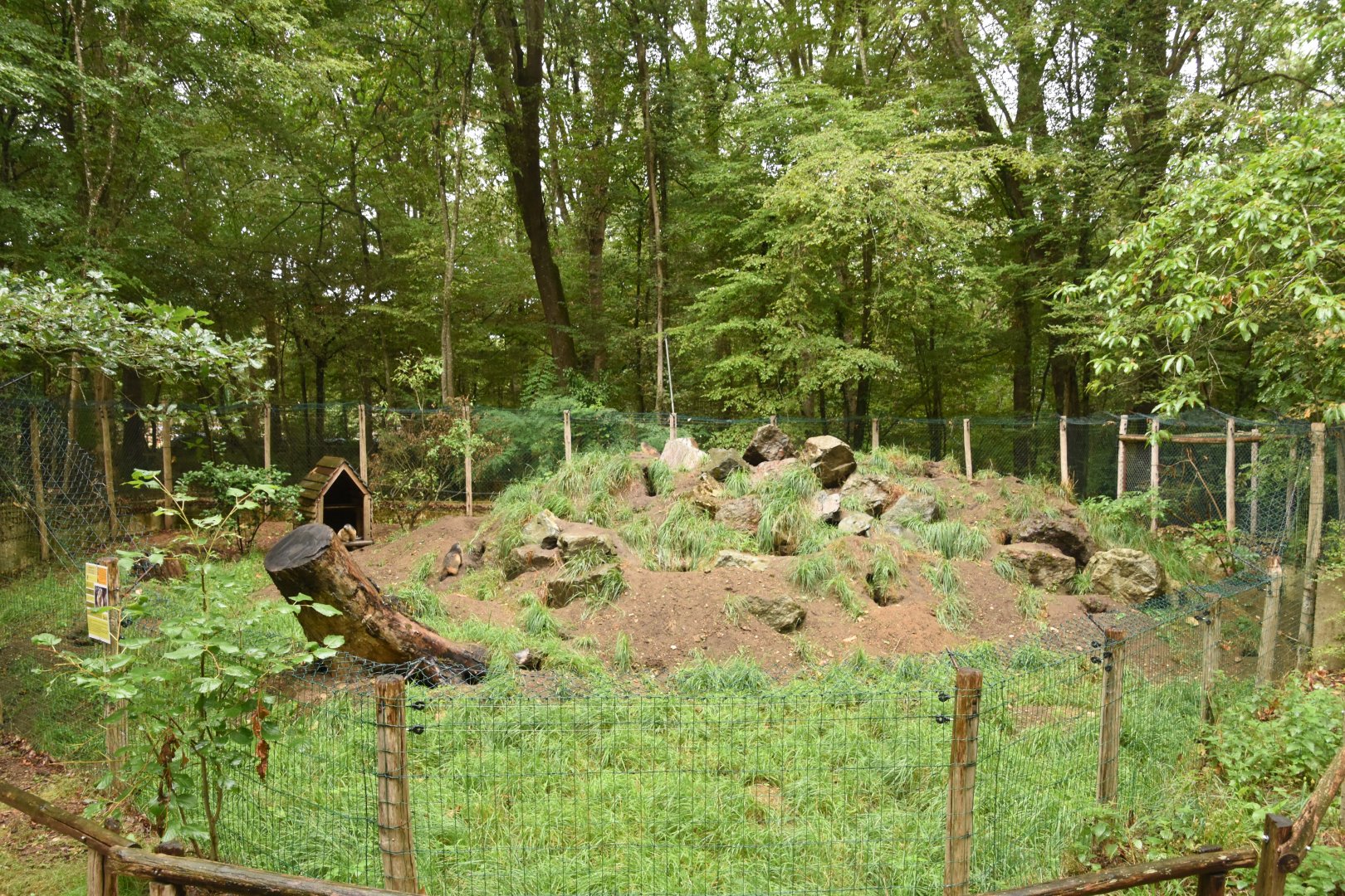 Alpine Marmot enclosure