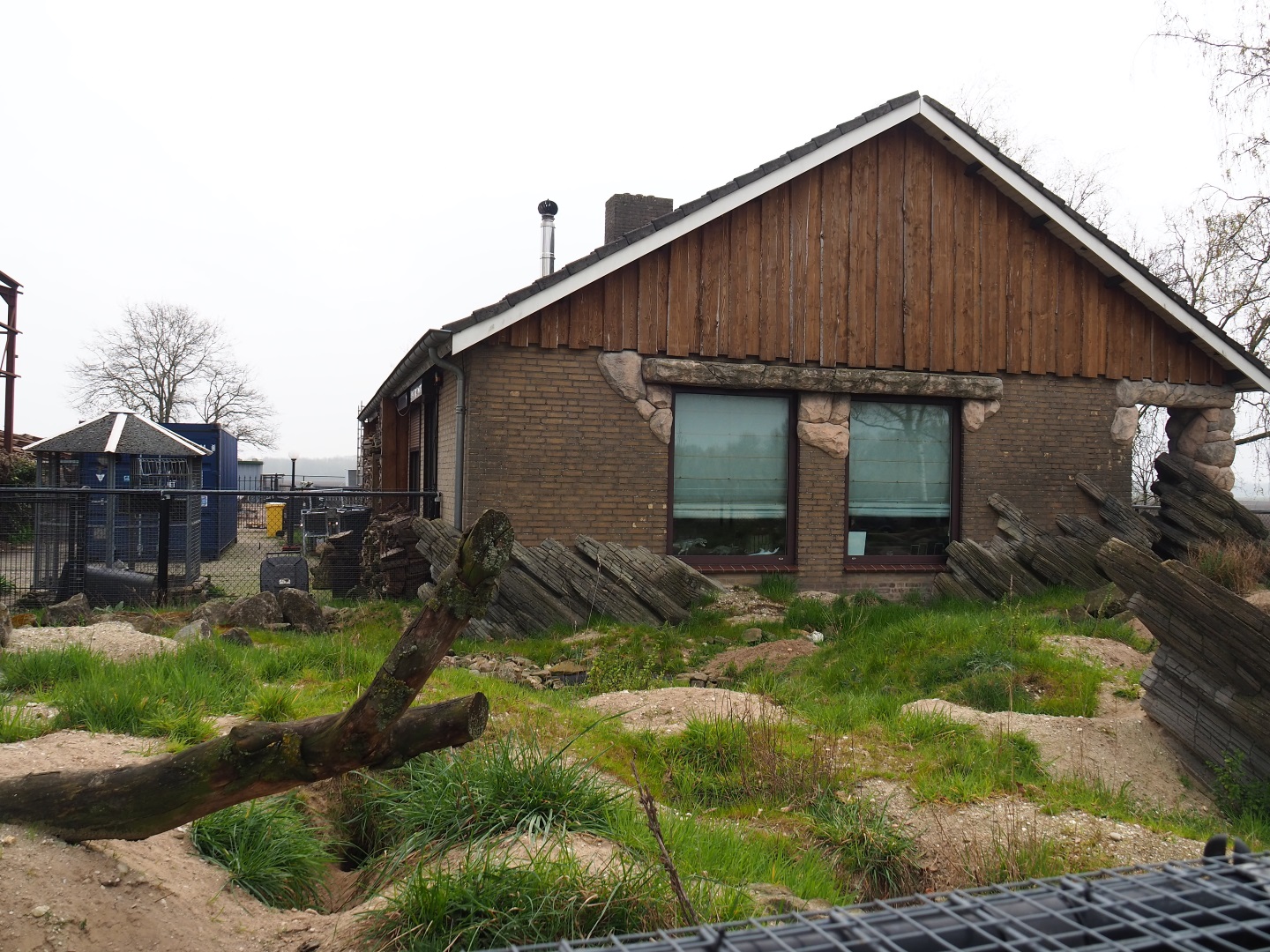 Alpine marmot exhibit, 2019-04-06