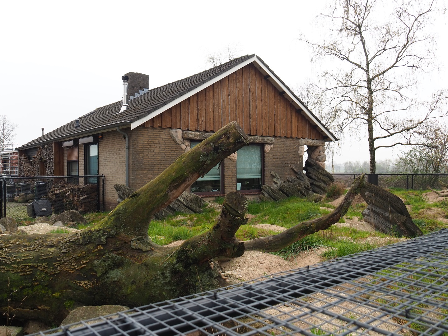 Alpine marmot exhibit, 2019-04-06