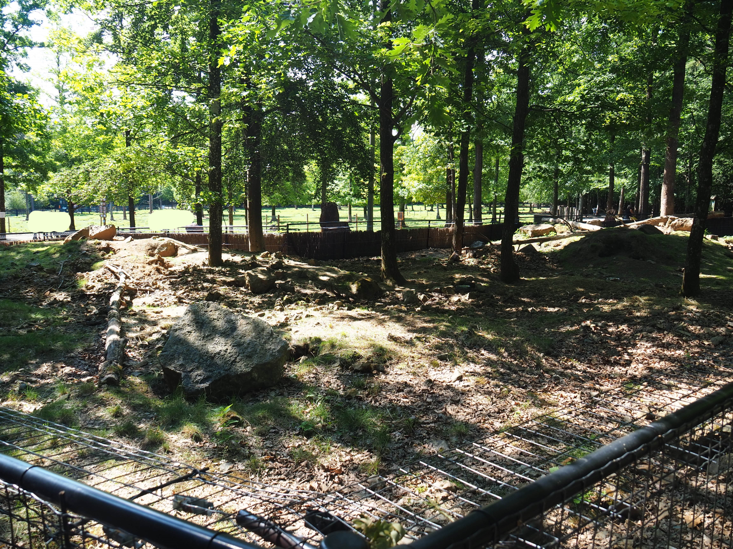 Alpine marmot exhibit, 2020-07-12