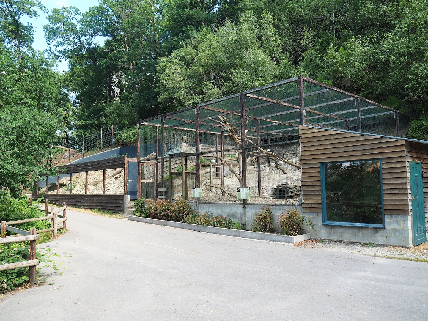Alpine marmot exhibit and Waldrapp and African sacred ibis aviary, 2023-06-24
