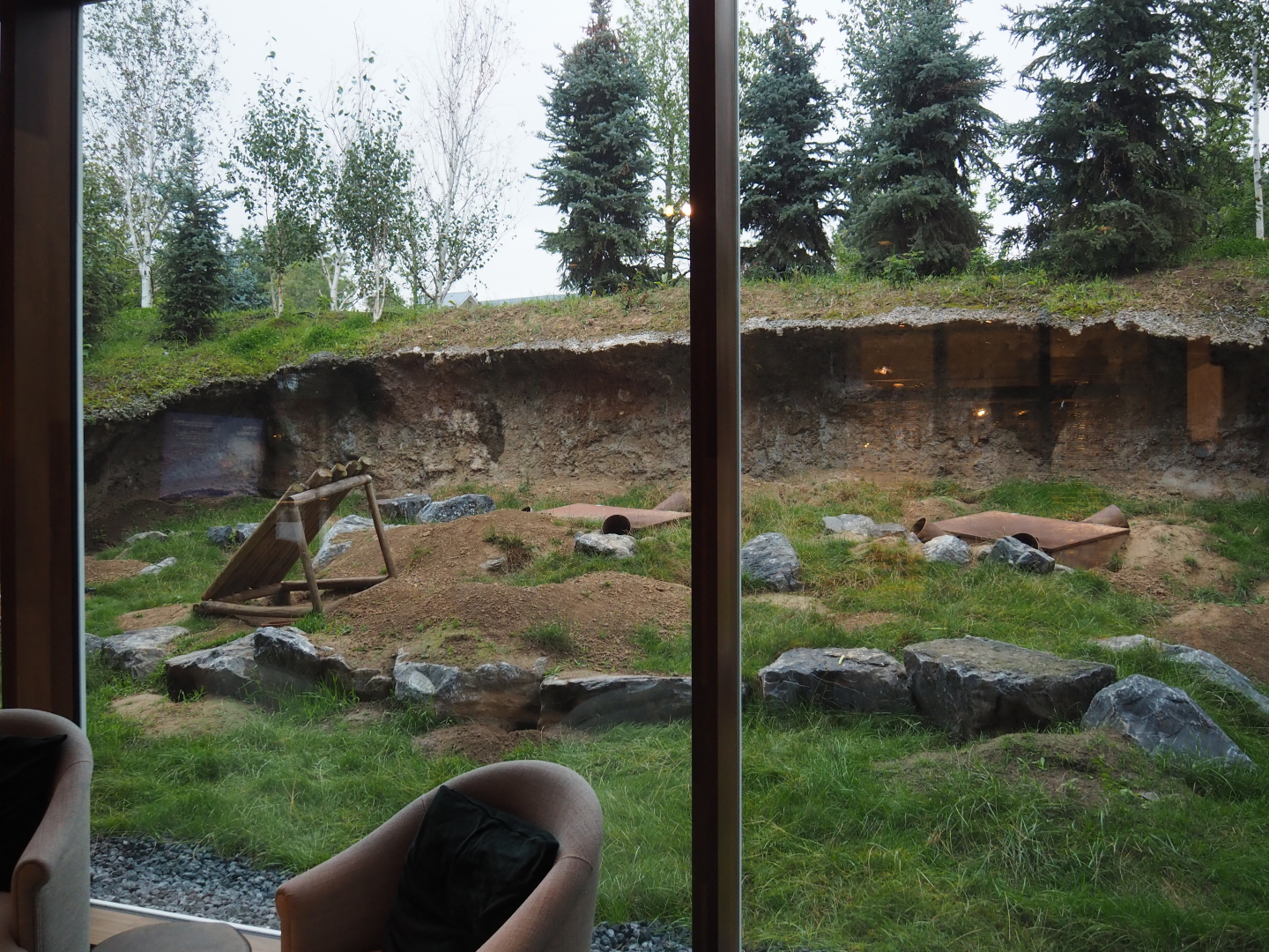 Alpine marmot exhibit next to The Paddling Bear hotel lobby, 2020-09-03