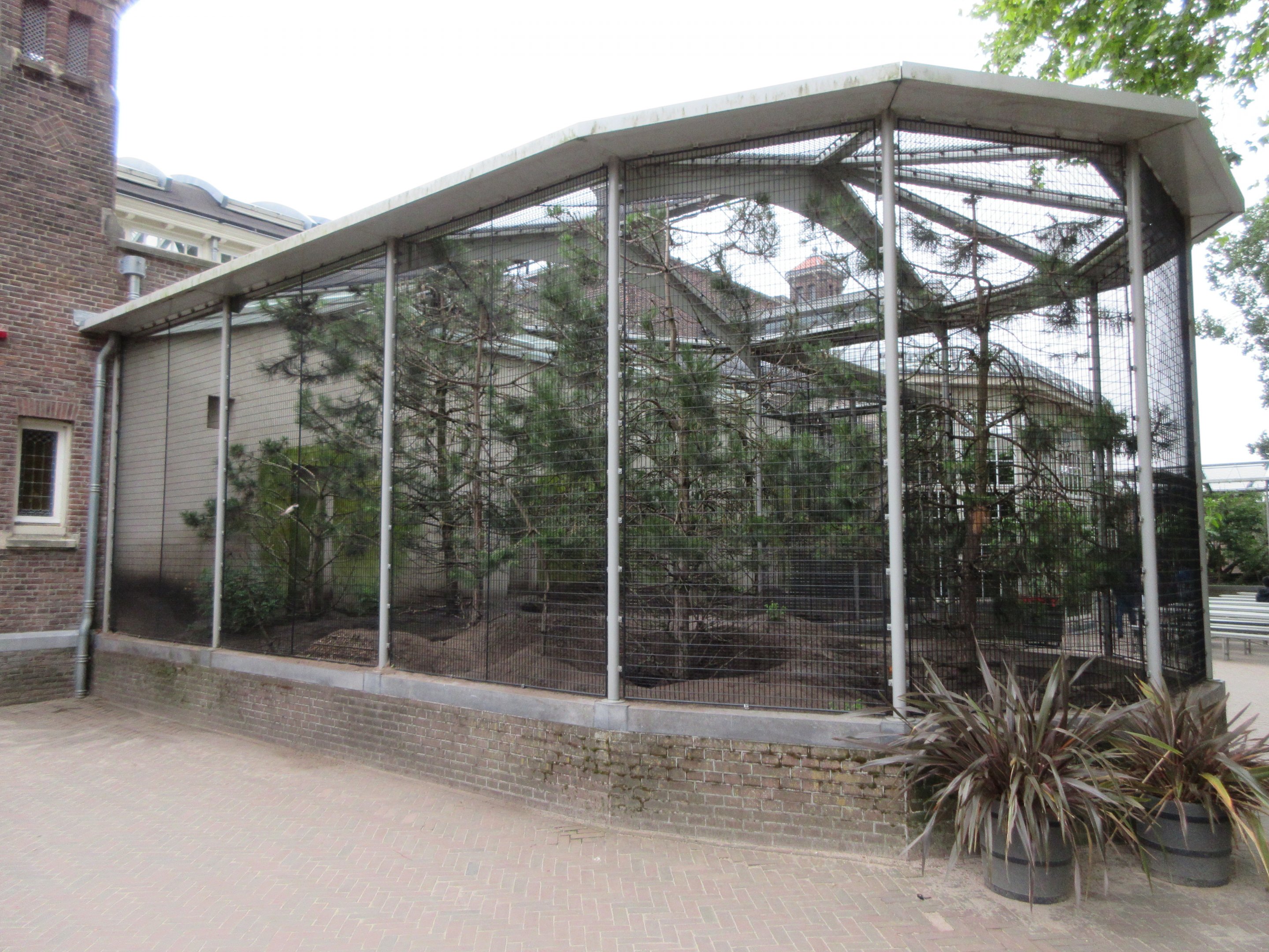 Alpine Marmot Exhibit (outside Forest House)