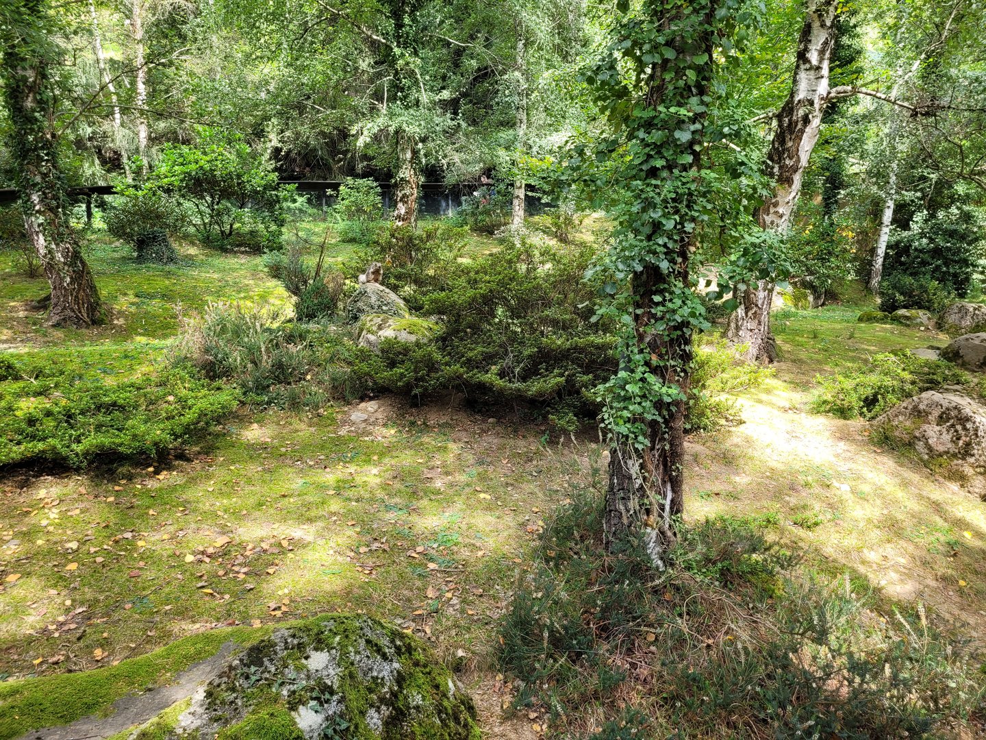 Alpine marmot exhibit -Parc Animalier des Pyrénées (2023)