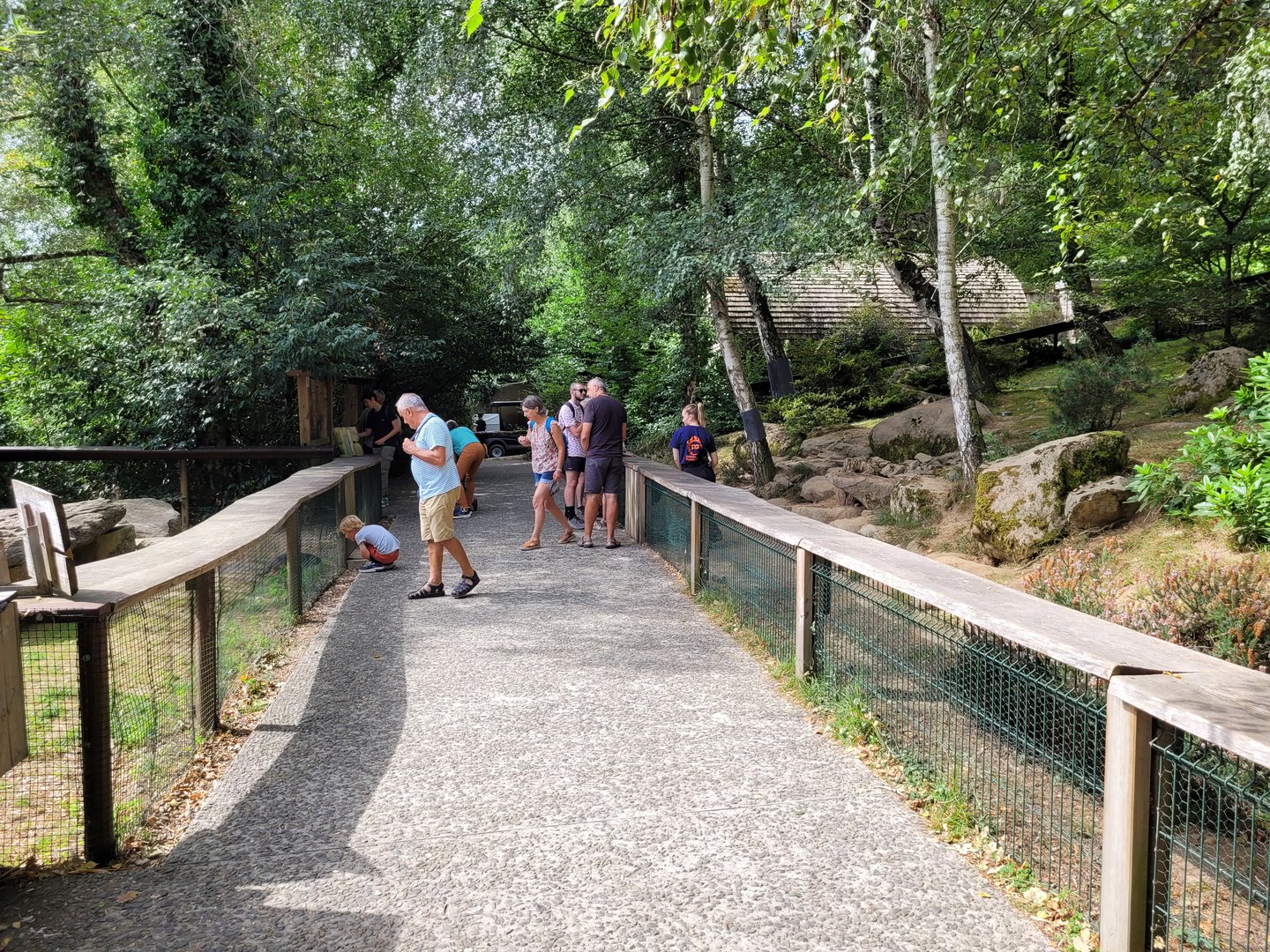Alpine marmot exhibit -Parc Animalier des Pyrénées (2023)