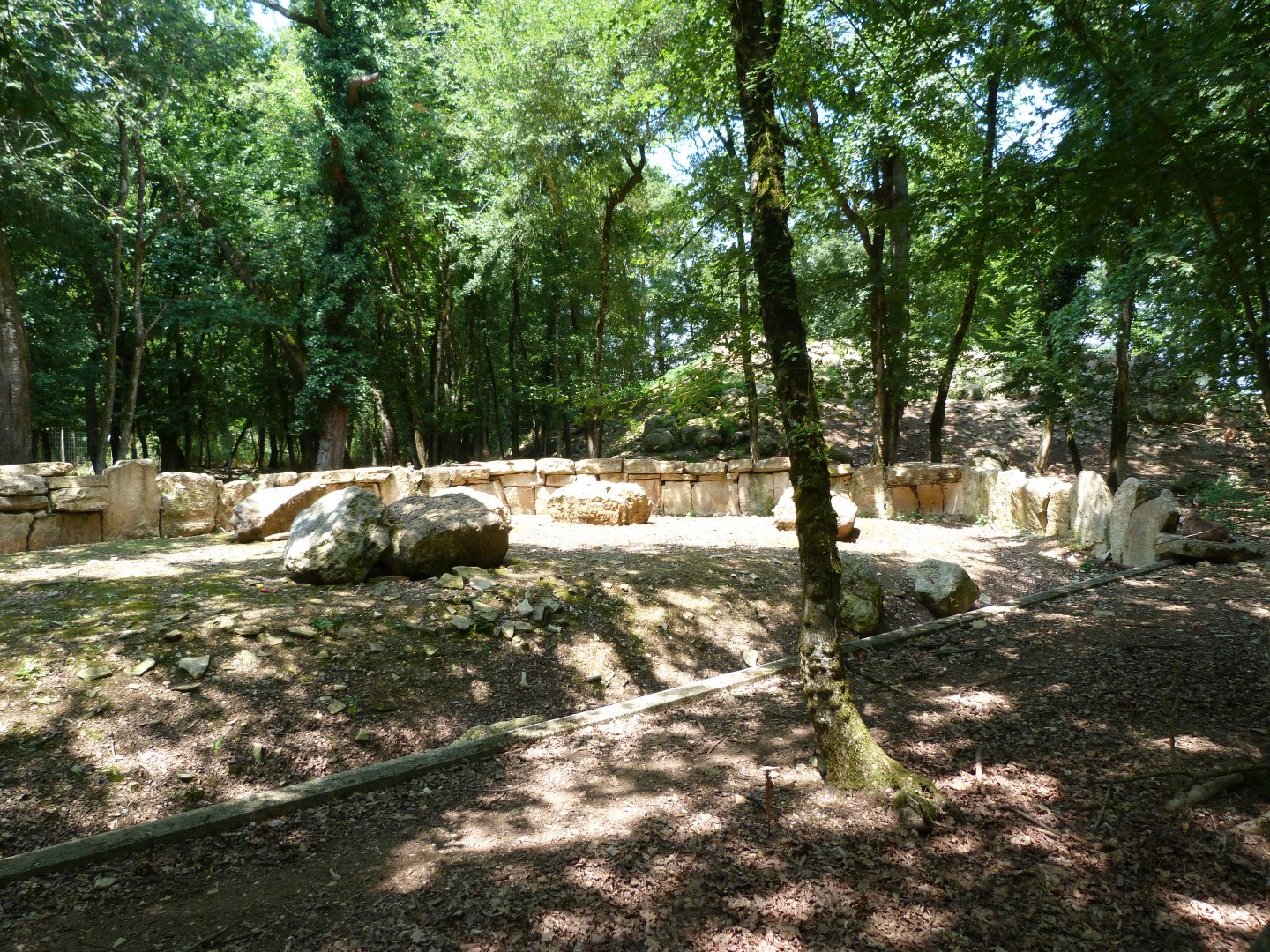 Alpine marmot exhibit -Zoodyssée (2025)