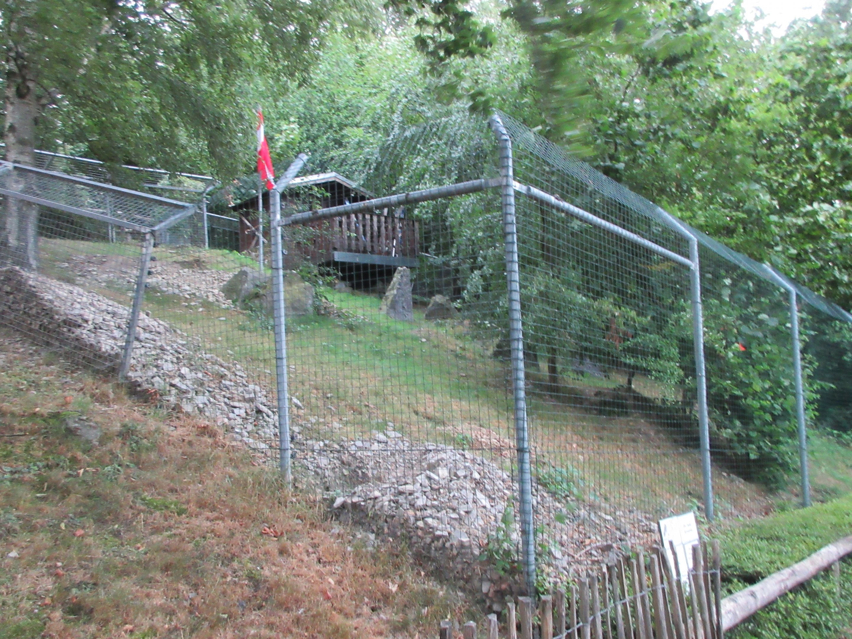 Alpine Marmot Exhibit