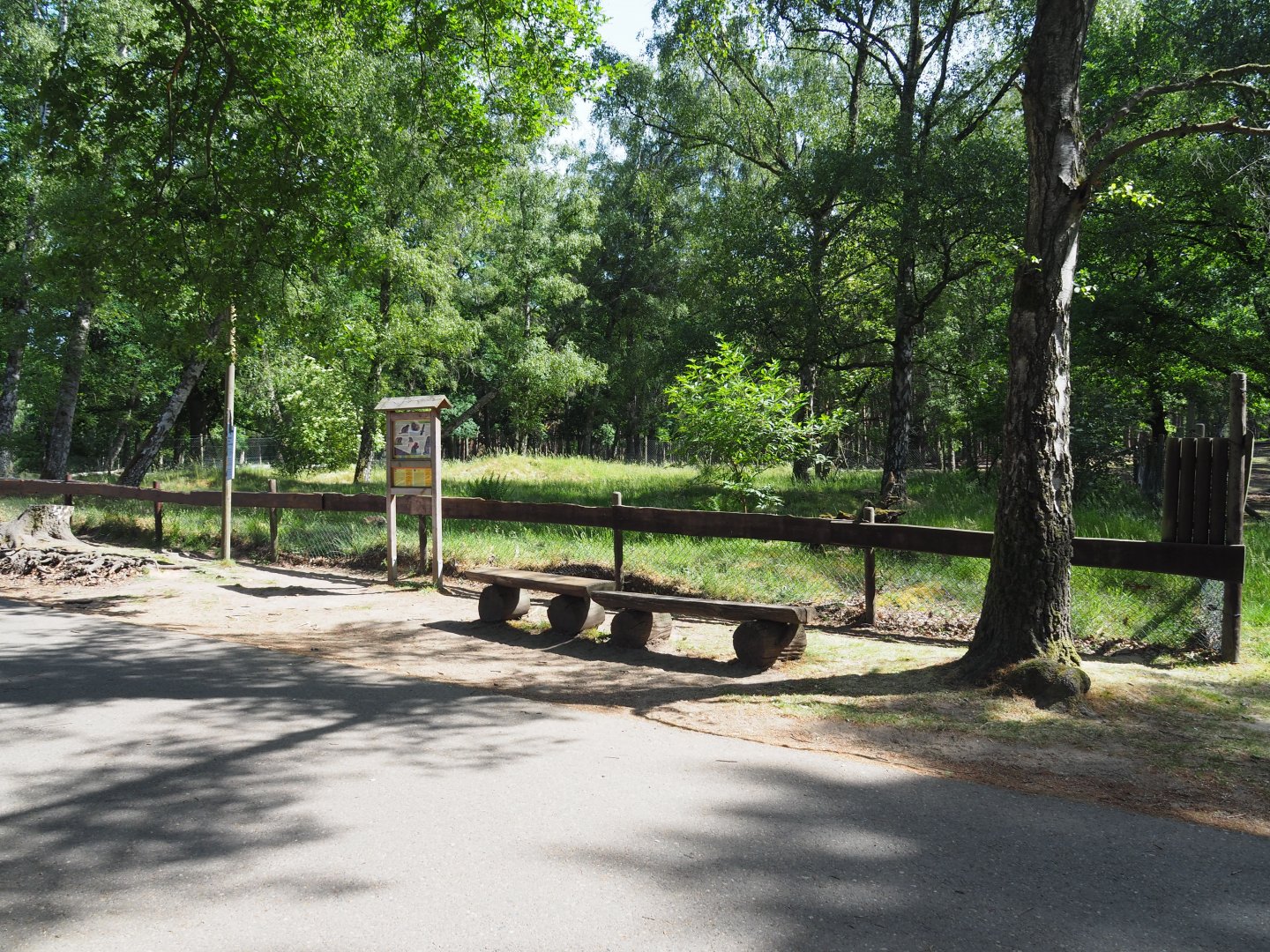 Alpine Marmot Exhibit