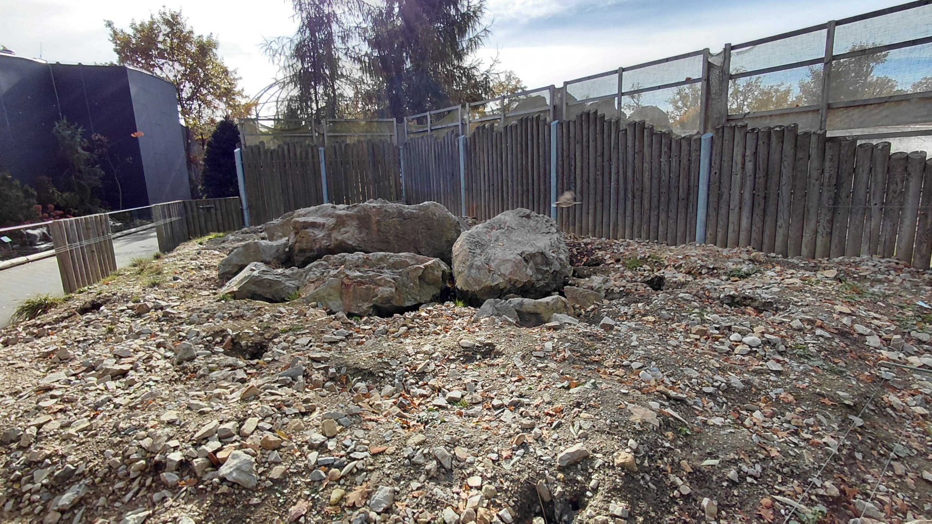 Alpine marmot exhibit
