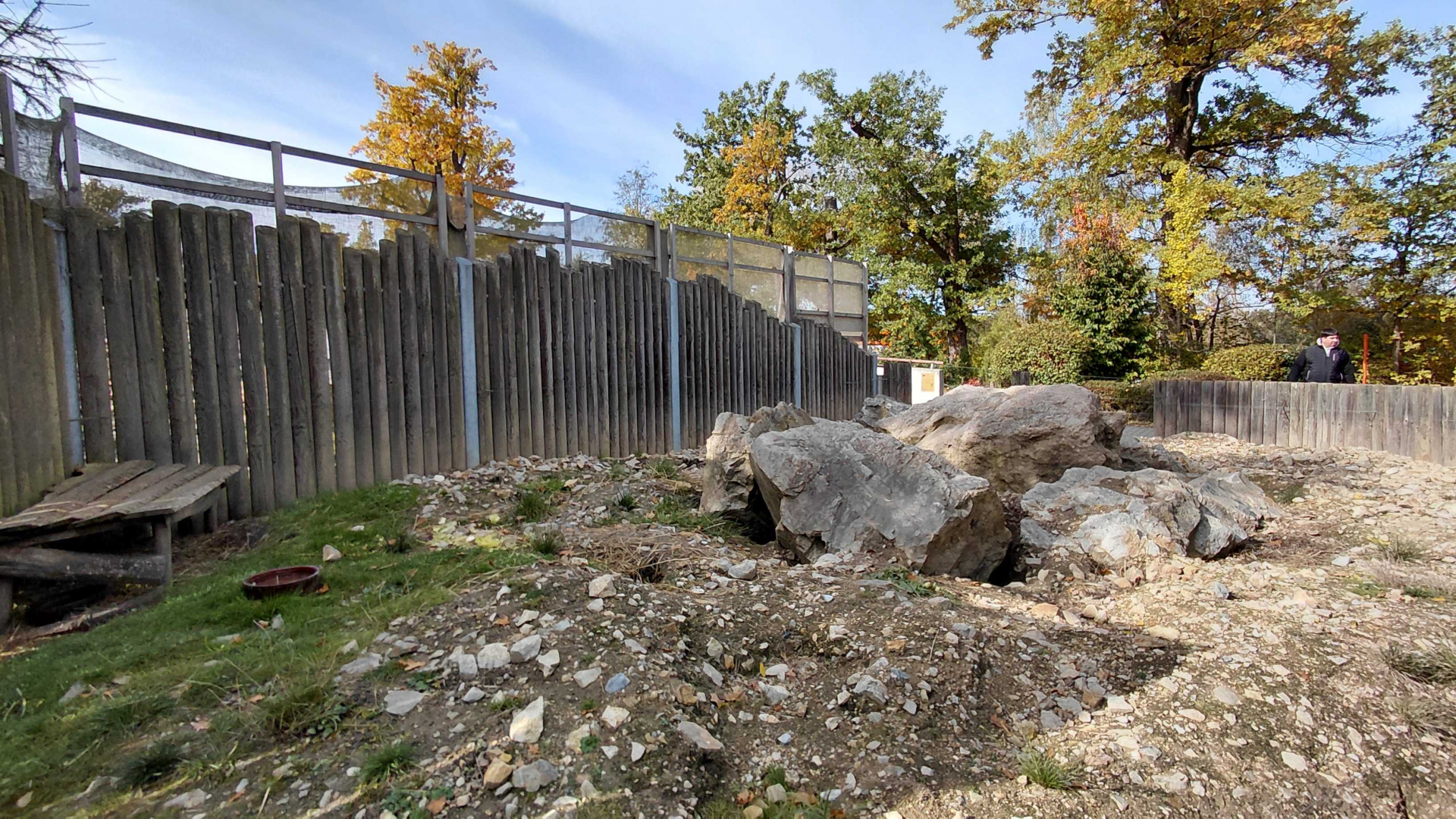 Alpine marmot exhibit