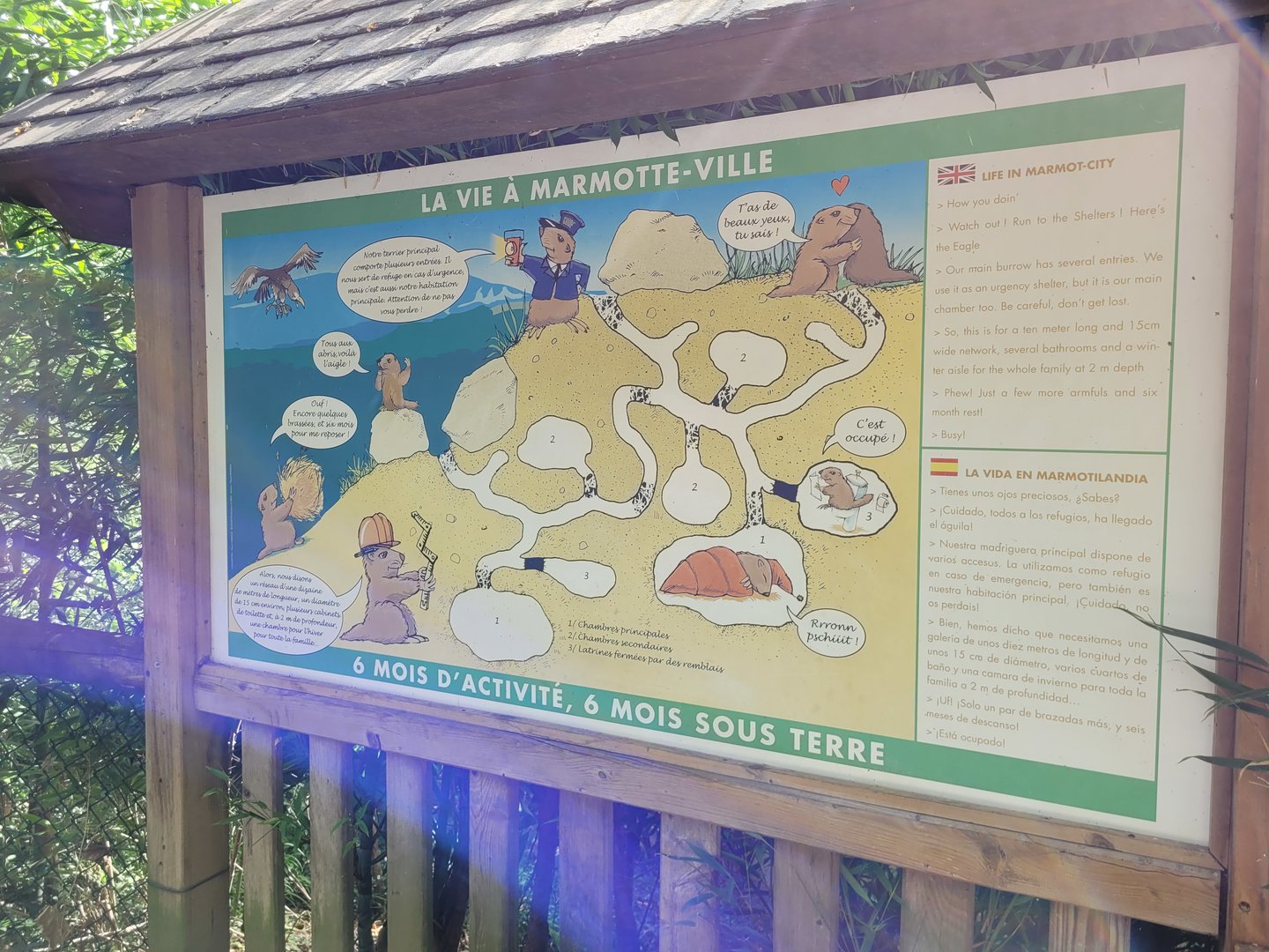 Alpine marmot sign -Parc Animalier des Pyrénées (2023)